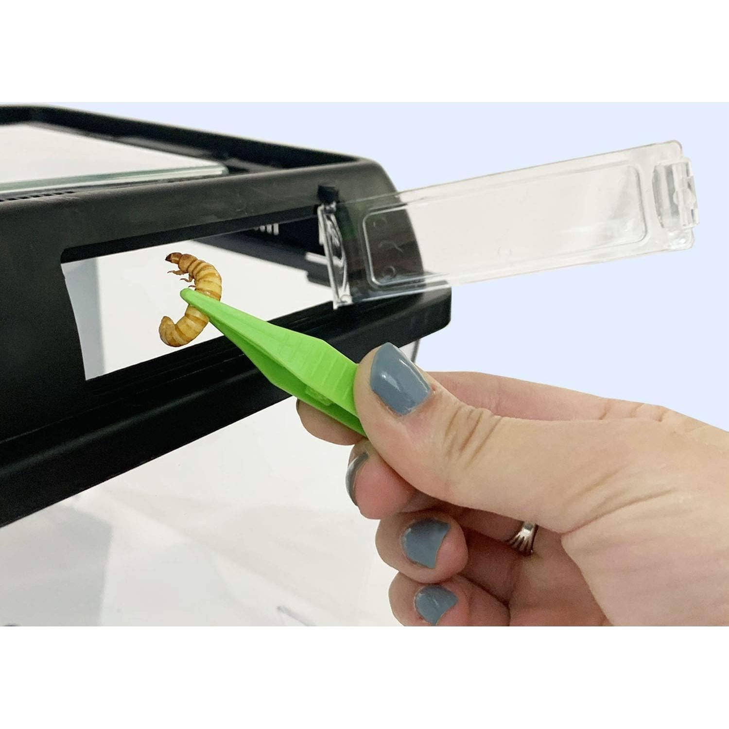 Hábito Feliz Terrario Estándar Exotic Nutrition 20x20 cm