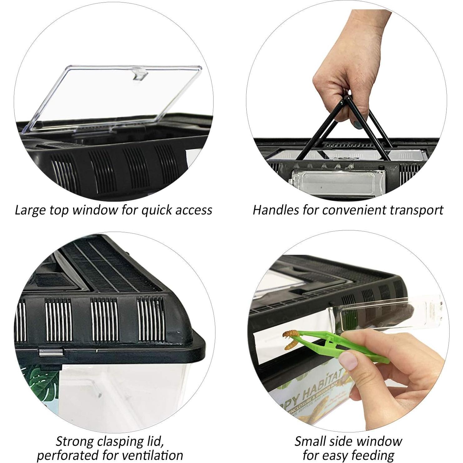 Hábito Feliz Terrario Estándar Exotic Nutrition 20x20 cm