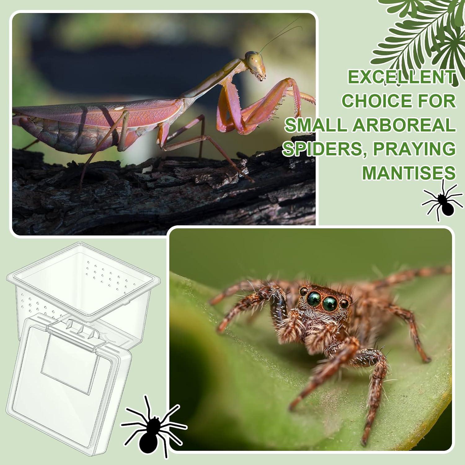 20 Cajas de Cría para Insectos y Reptiles Nuanchu 6.5x6.5x4.5cm