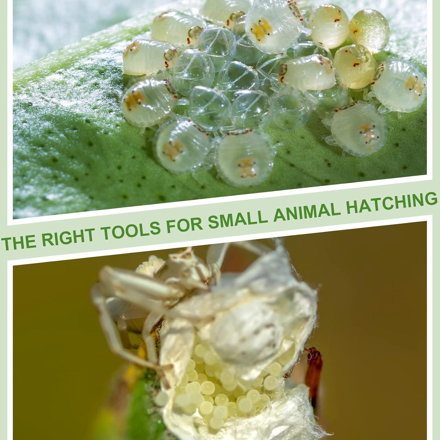 20 Cajas de Cría para Insectos y Reptiles Nuanchu 6.5x6.5x4.5cm