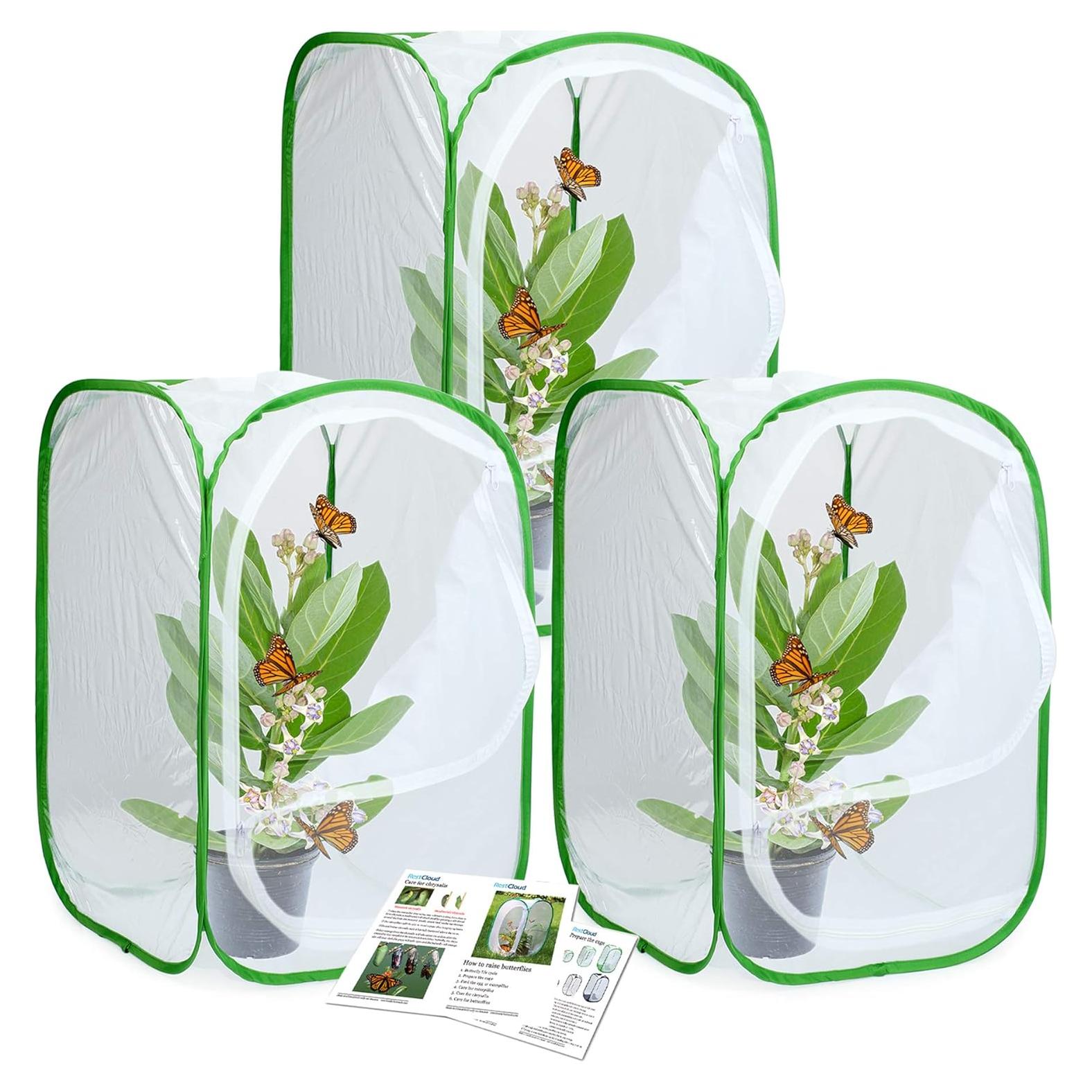 Terrario Profesional para Mariposas Restcloud - 3 Unidades 39.9x39.9x60 cm