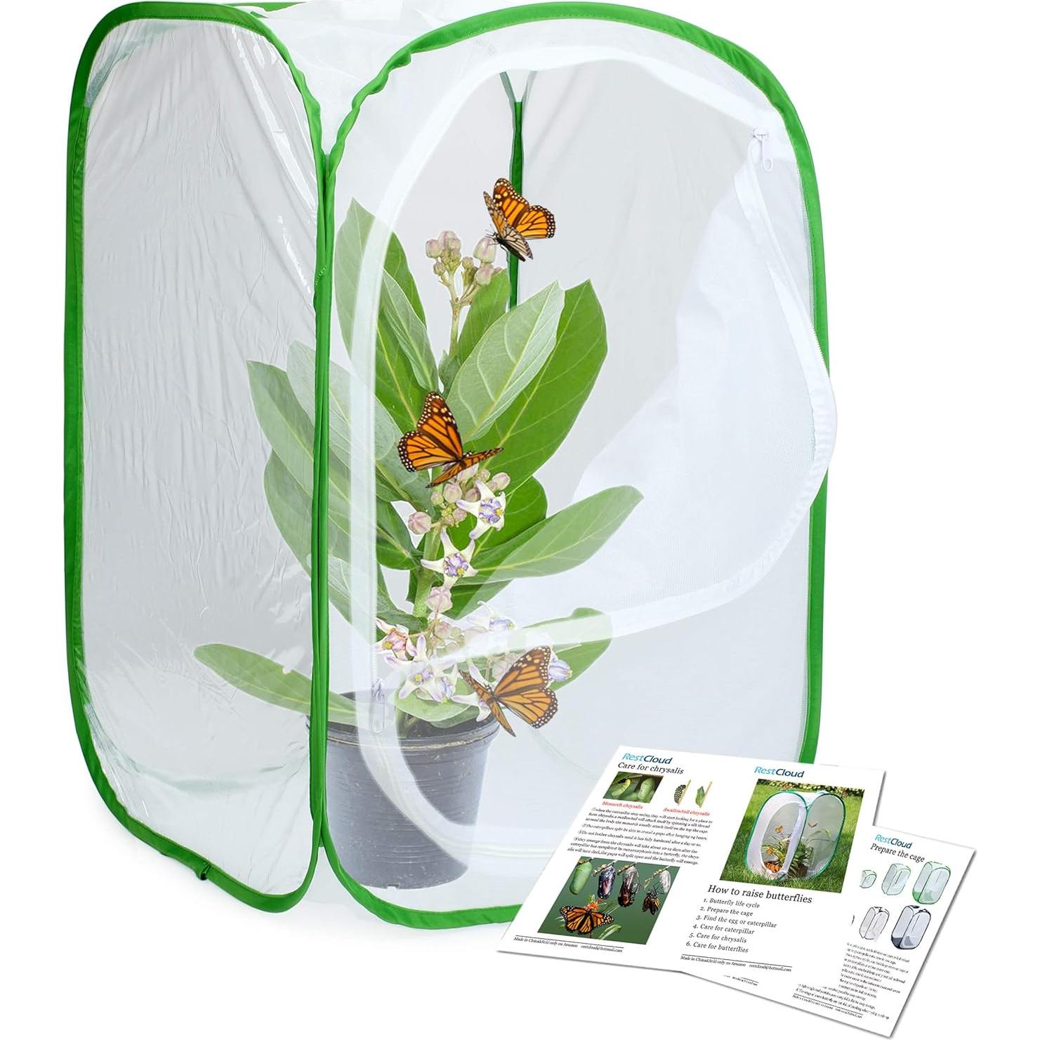 Terrario Profesional para Mariposas Restcloud - 3 Unidades 39.9x39.9x60 cm