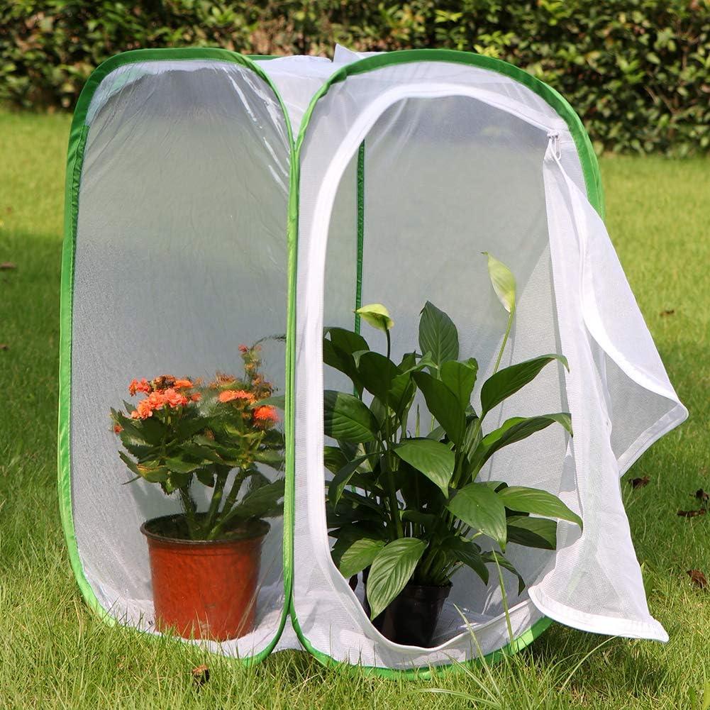 Hábitat de Mariposas Monarca RESTCLOUD 60 cm Plegable 2 Unidades