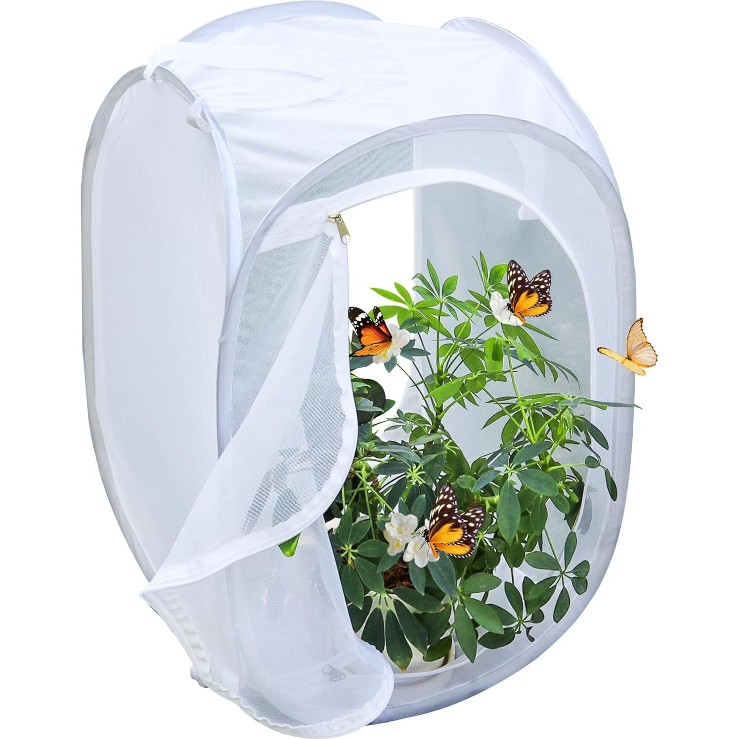 Cápsula de Hábitat para Mariposas GD - 40.64x40.64x60.96 cm