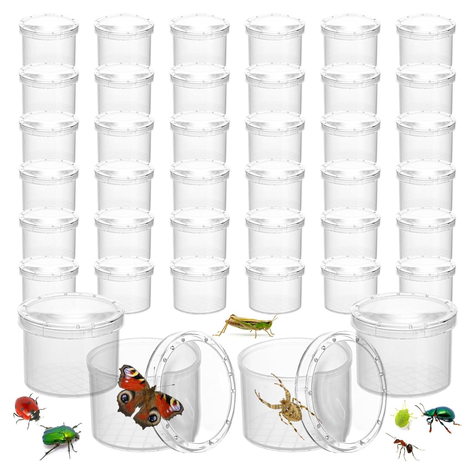 Set de Lupa para Insectos ZENFUN - 40 Frascos con Tapa