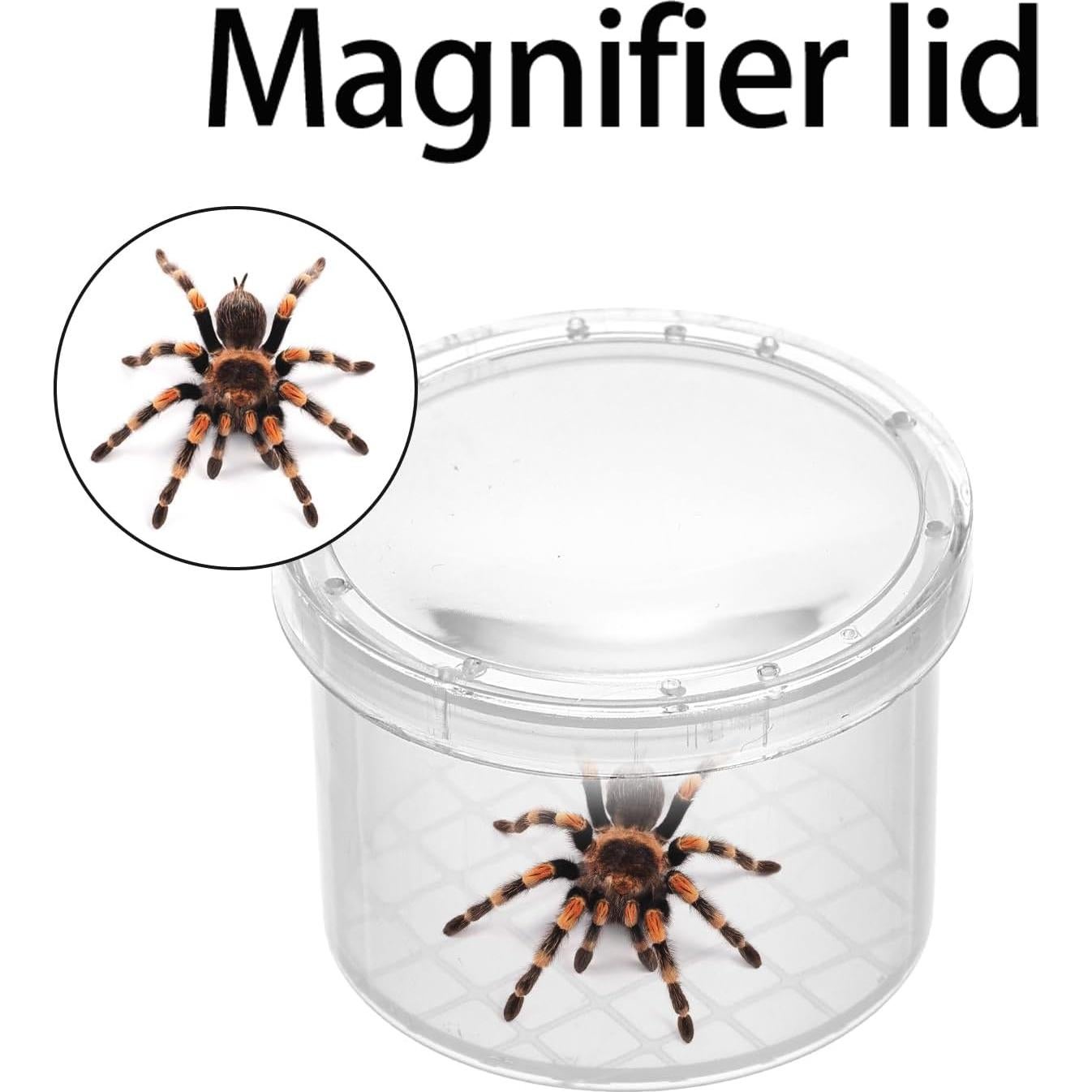 Set de Lupa para Insectos ZENFUN - 40 Frascos con Tapa