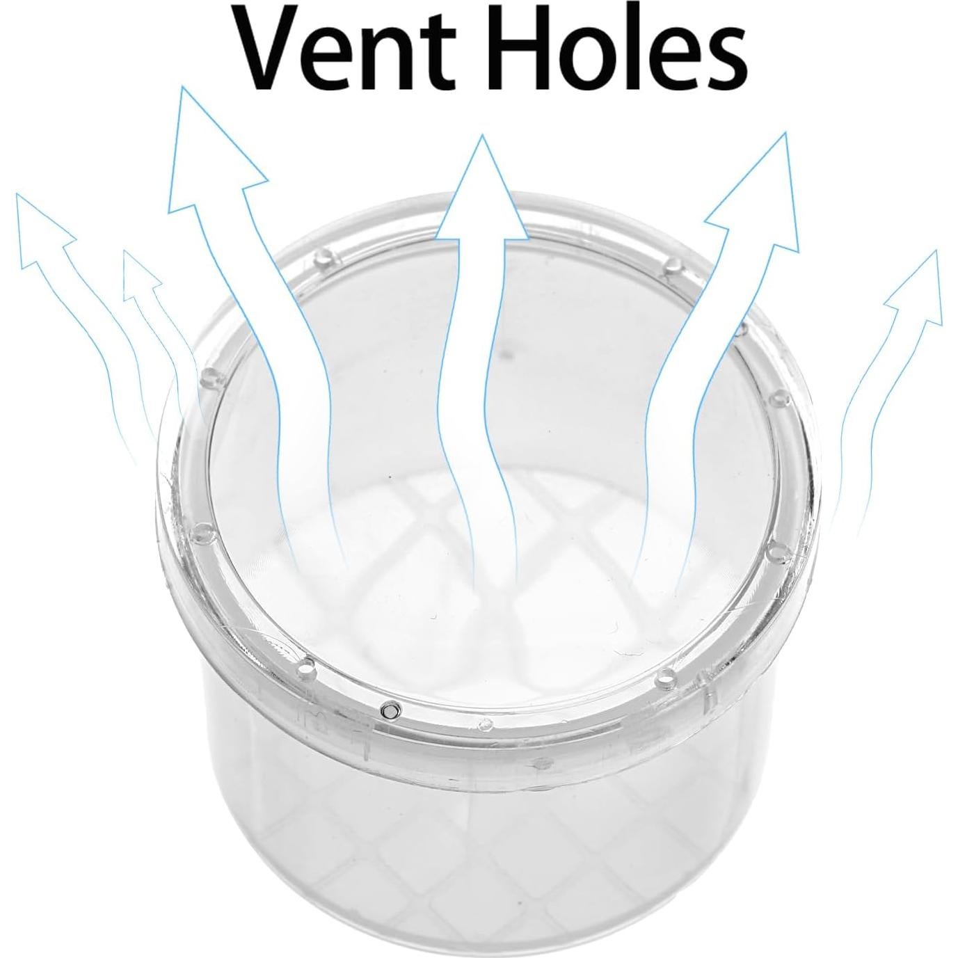 Set de Lupa para Insectos ZENFUN - 40 Frascos con Tapa