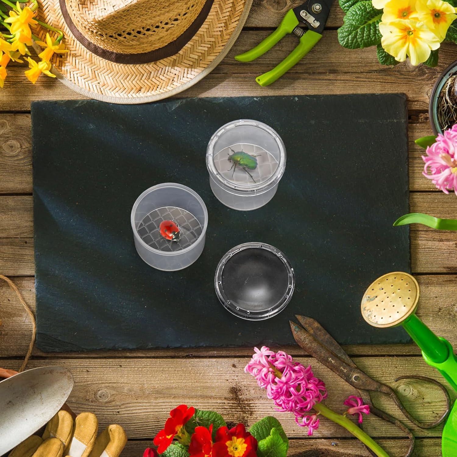 Set de Lupa para Insectos ZENFUN - 40 Frascos con Tapa