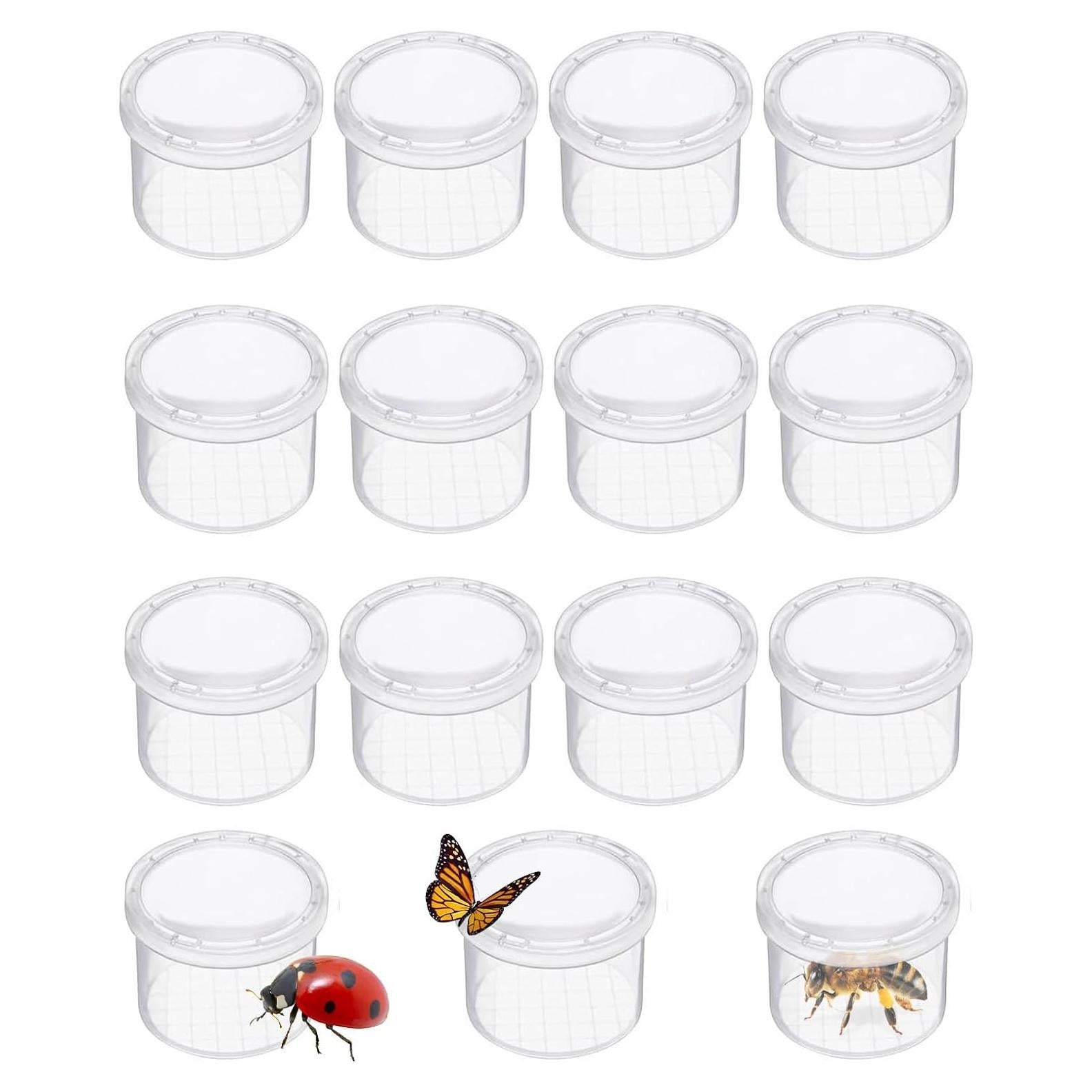 Caja de Insectos Aumentadora Lamilla - 12 Tarros para Exploración