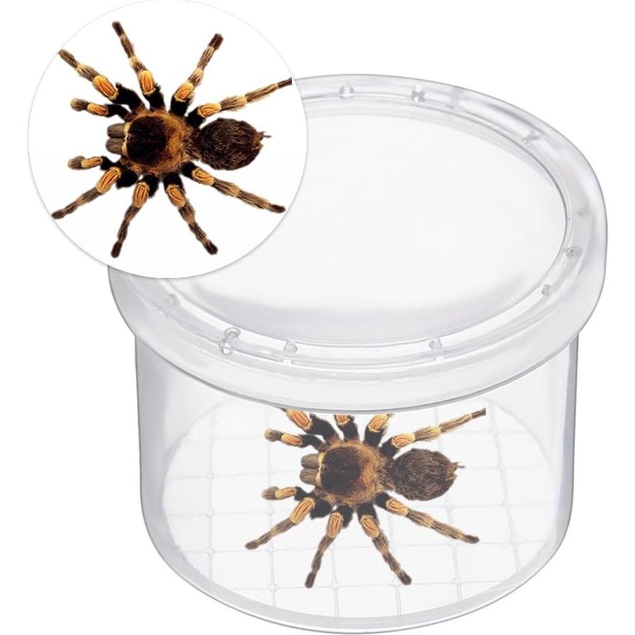 Caja de Insectos Aumentadora Lamilla - 12 Tarros para Exploración