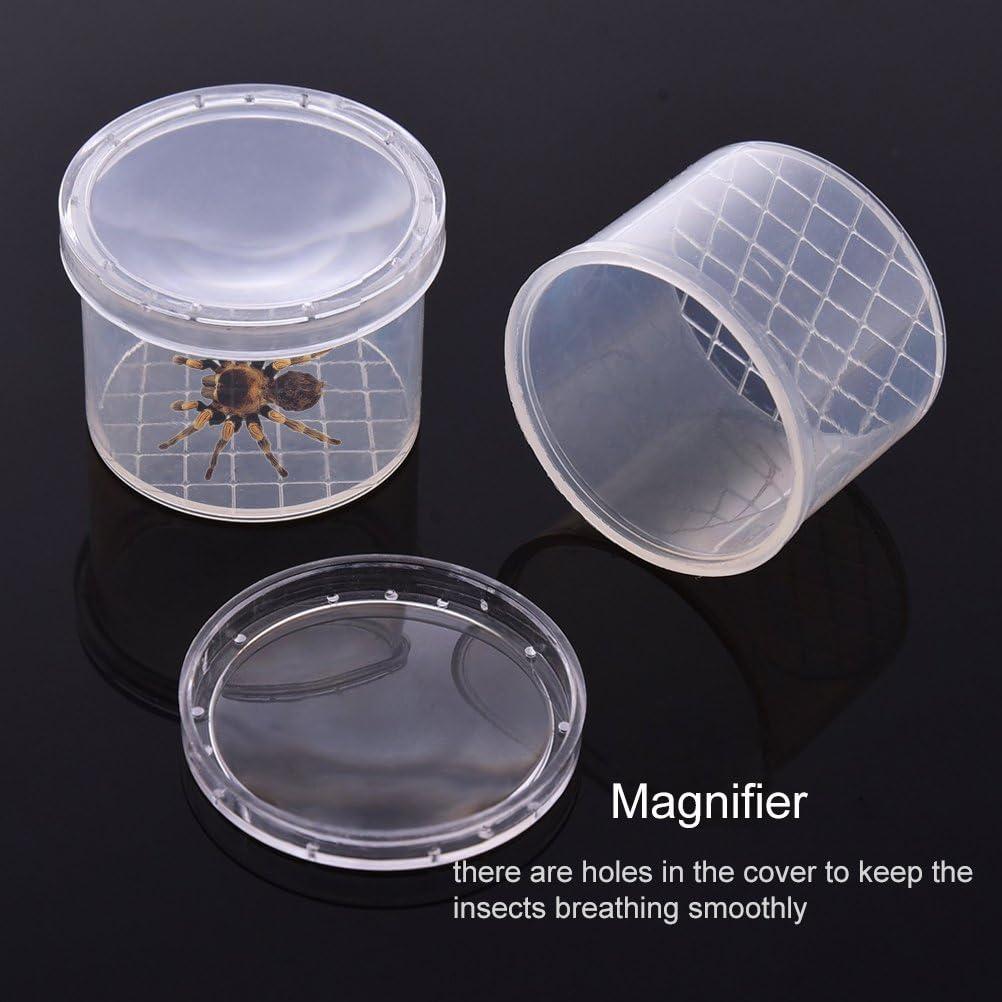 Caja de Insectos Aumentadora Lamilla - 12 Tarros para Exploración