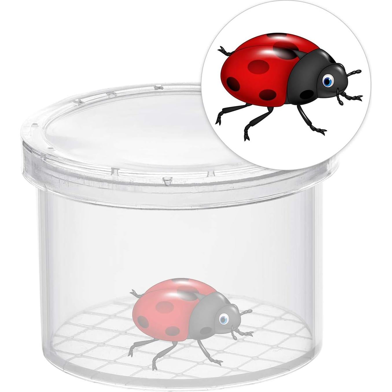 Visor de Insectos Coopay 40 Piezas Aumentador para Niños