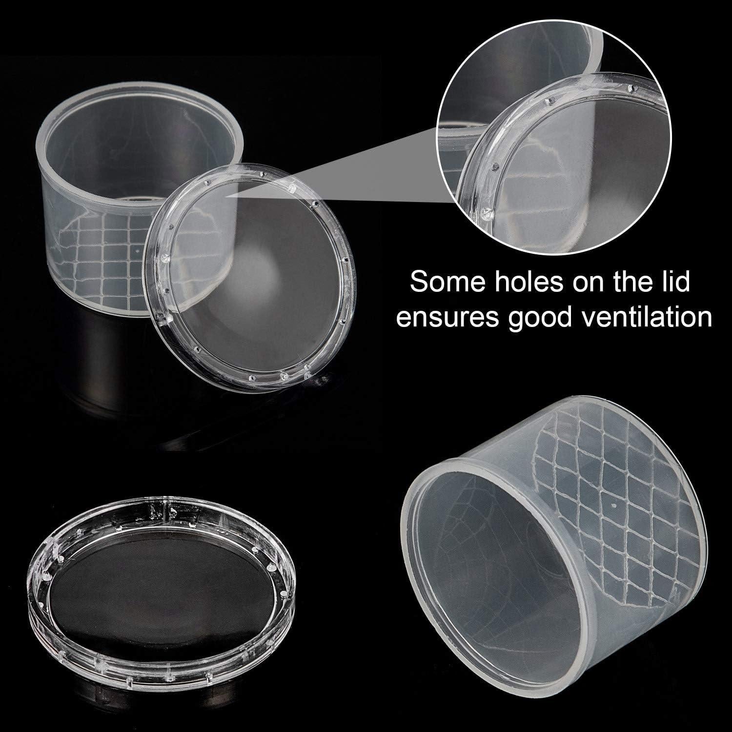 Contenedor de Insectos Thyle 60 Piezas con Lente de Aumento