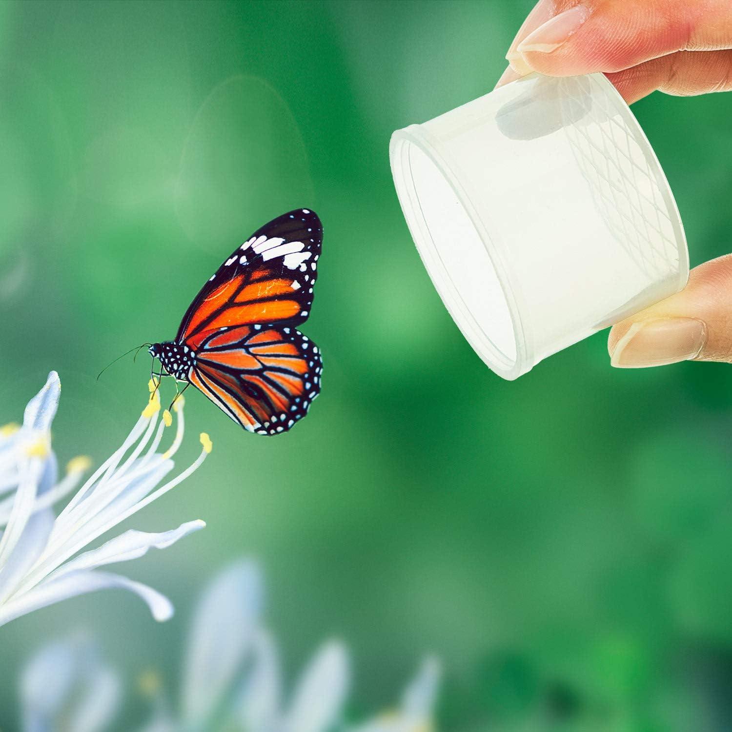 Contenedor de Insectos Thyle 60 Piezas con Lente de Aumento