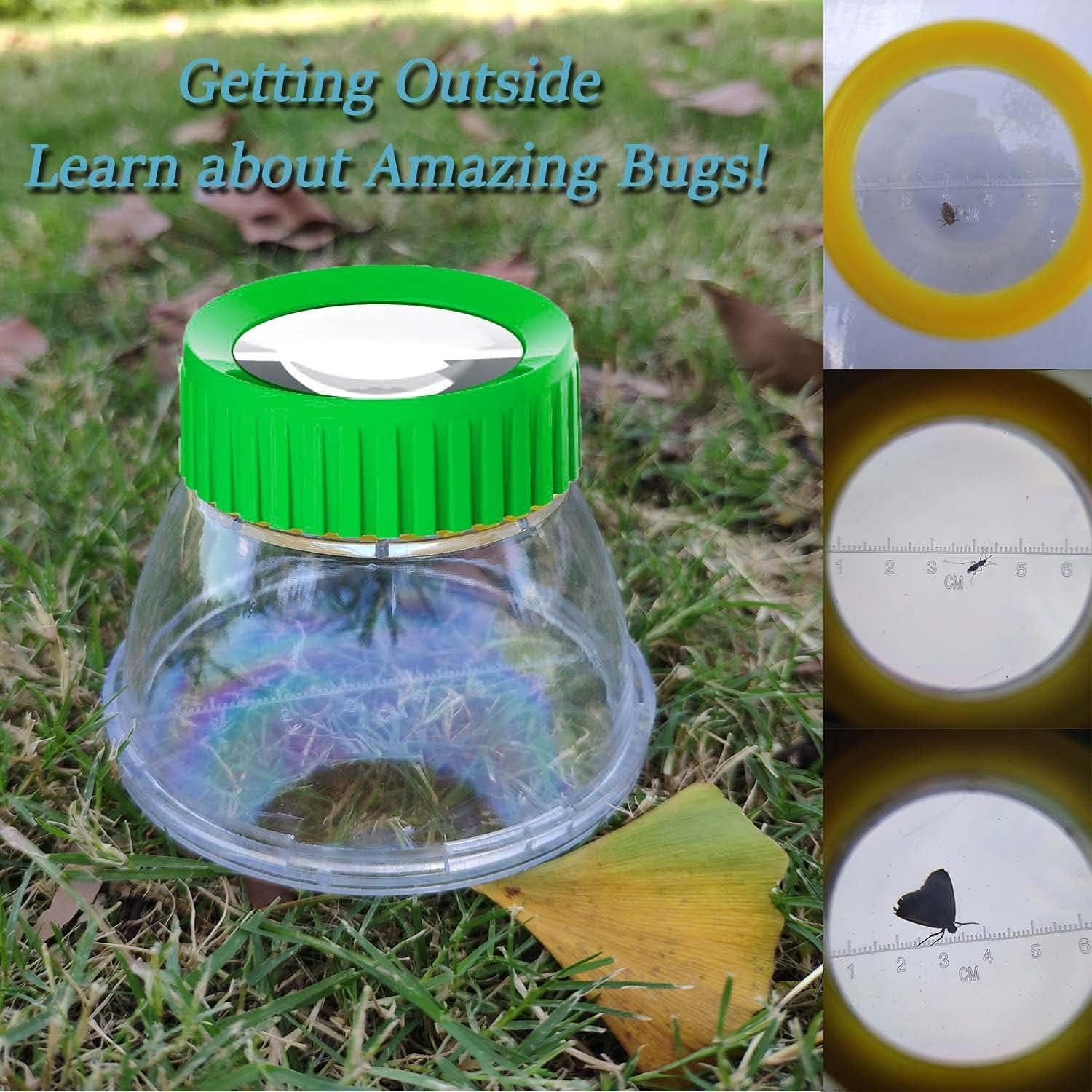 Visor de Insectos RORANIC 4 Pack Verde con Lupa 5X y Pinzas