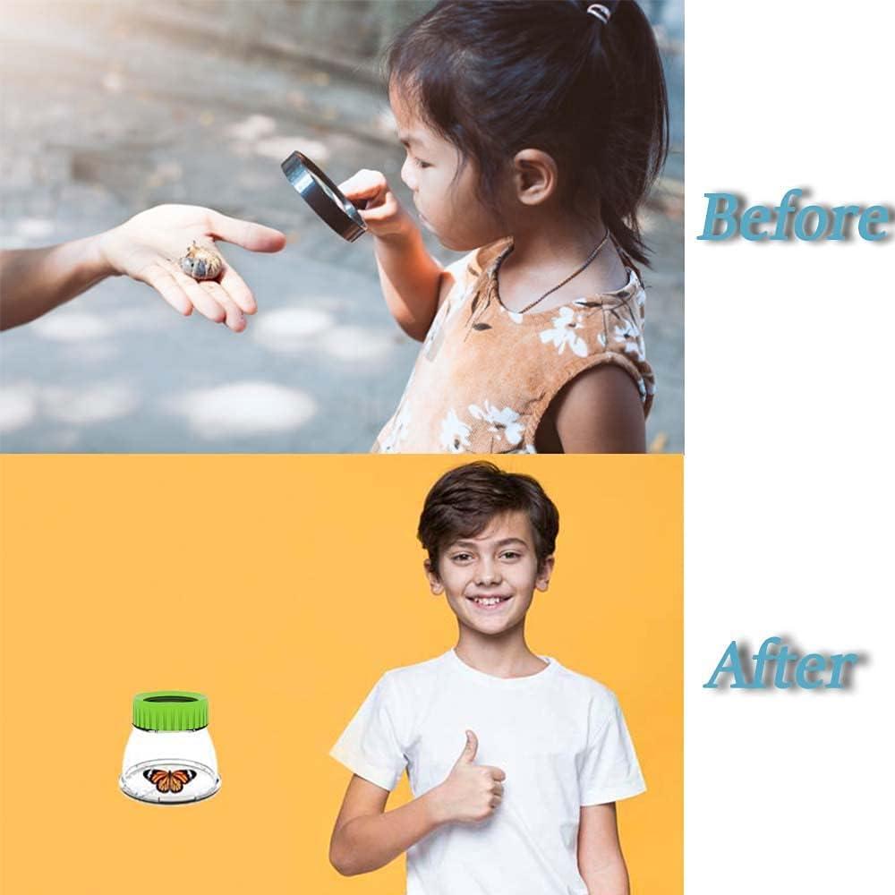 Visor de Insectos RORANIC 4 Pack Verde con Lupa 5X y Pinzas