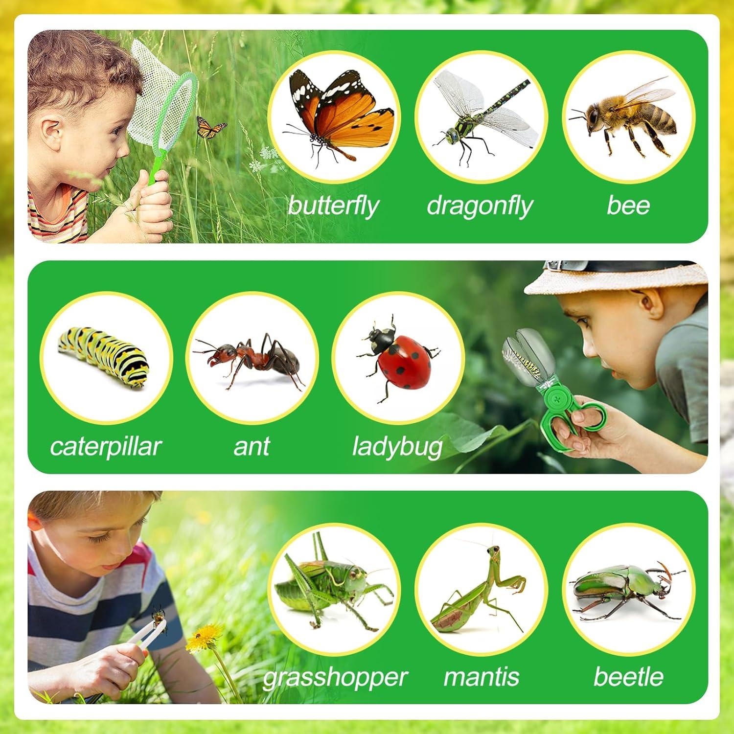 Kit de Captura de Insectos Biubee - 2 Sets para Niños 3-8 Años