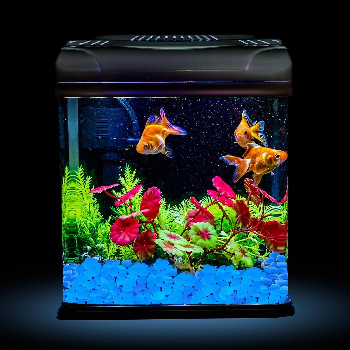 Piedras Brillantes en la Oscuridad NAMTSO 500 Piezas Azul