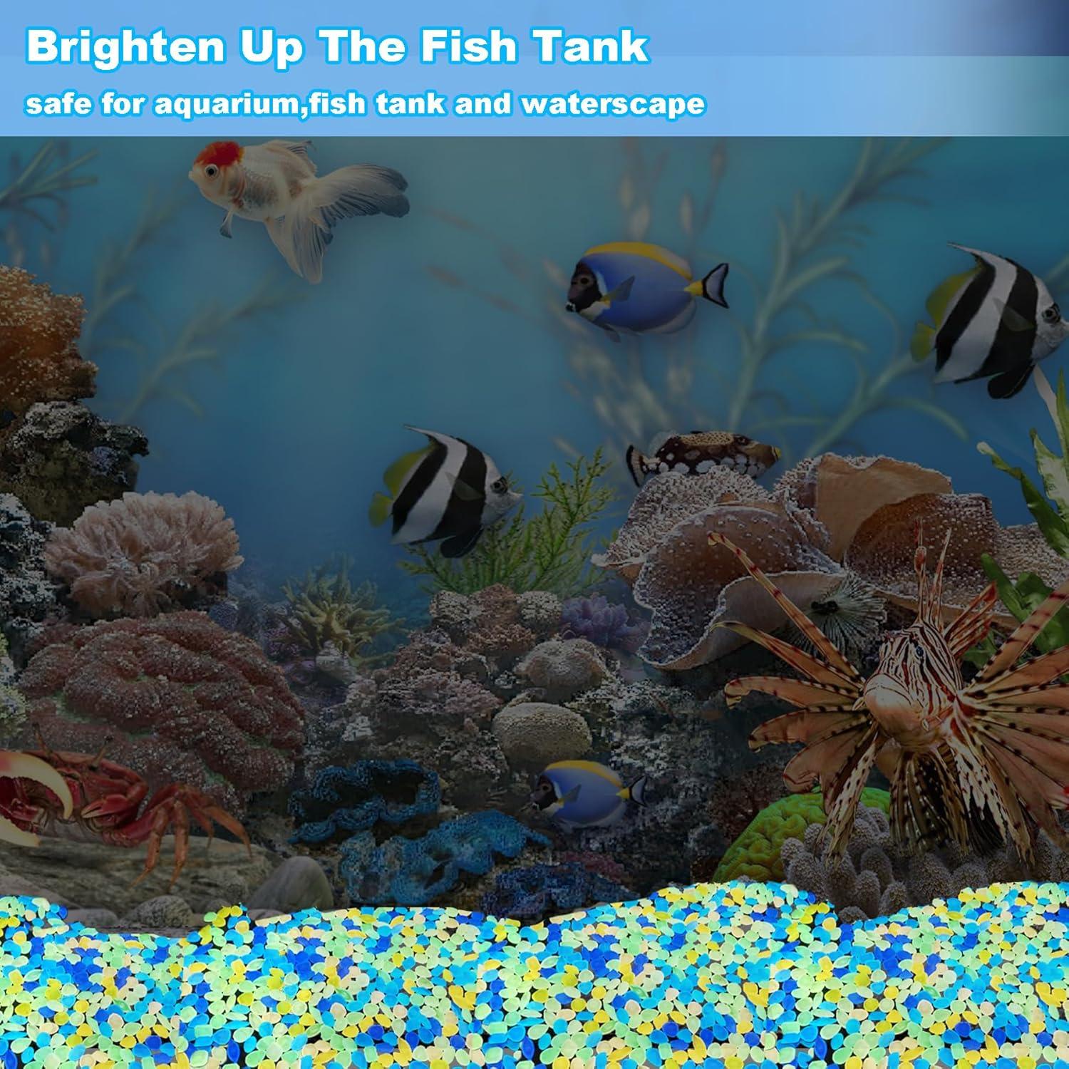 1000 Piedras Brillantes Luminosas para Jardín Kaiyuan