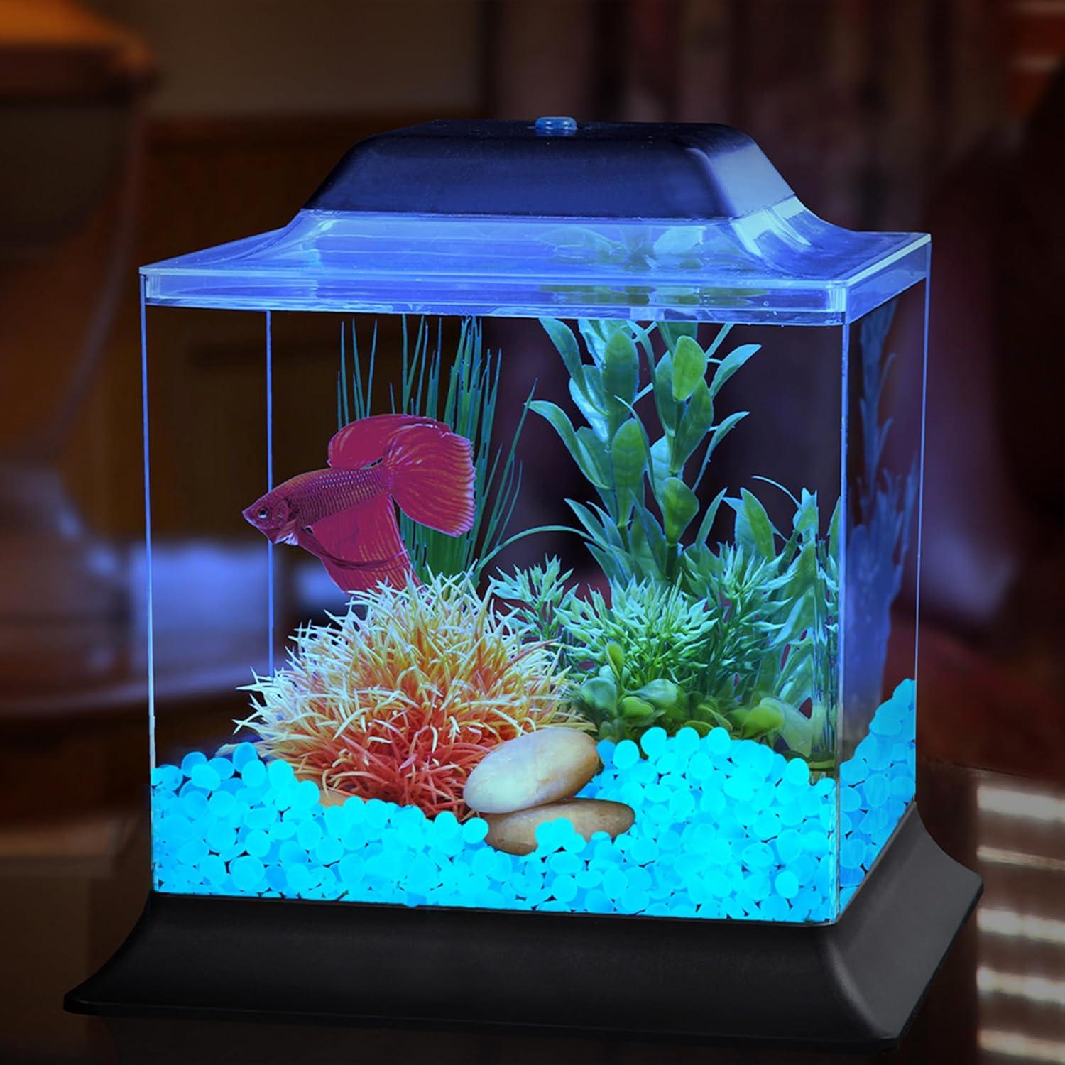 Piedras Luminiscentes para Jardín Oun Nana 1000 PCS 1.27 cm