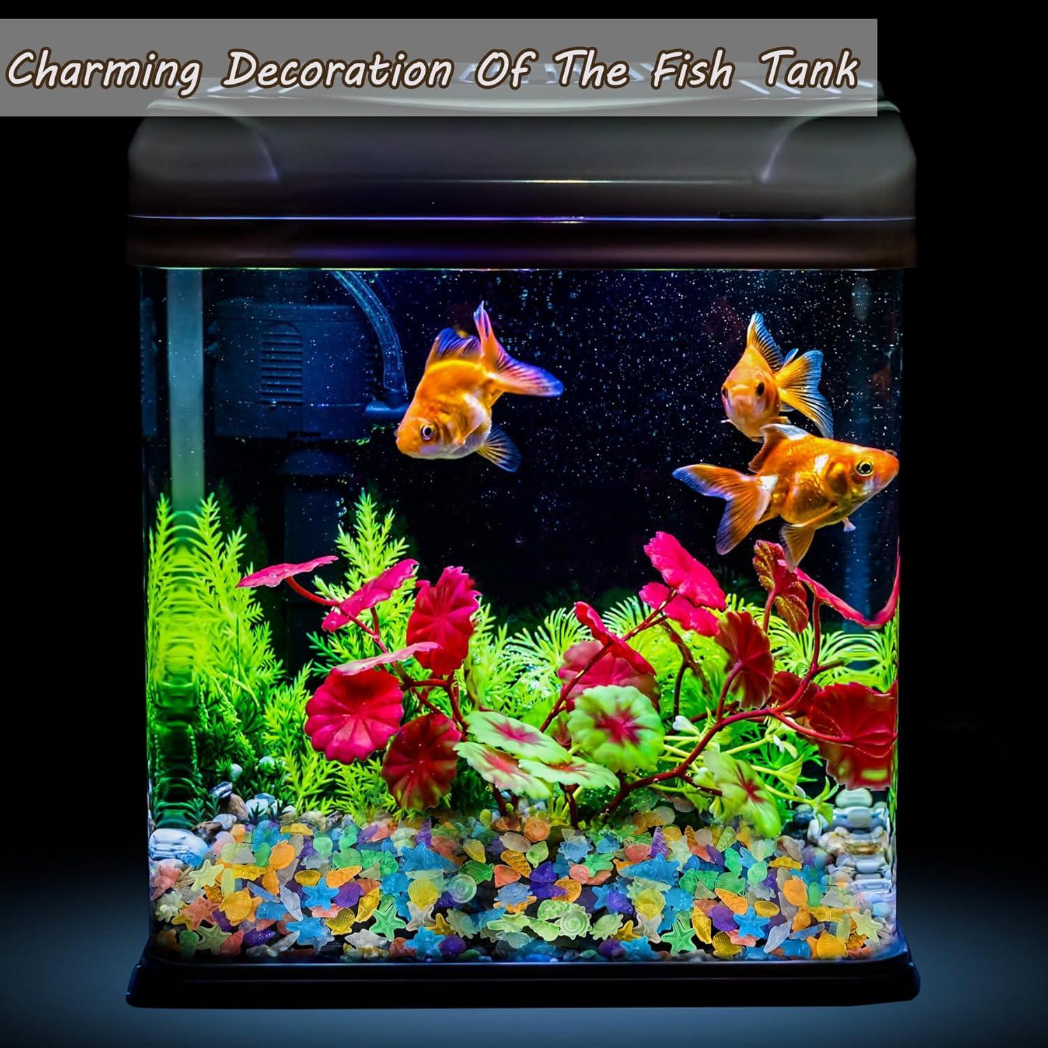 Piedras Brillantes en la Oscuridad Kaiyuan Dinastía 100pc