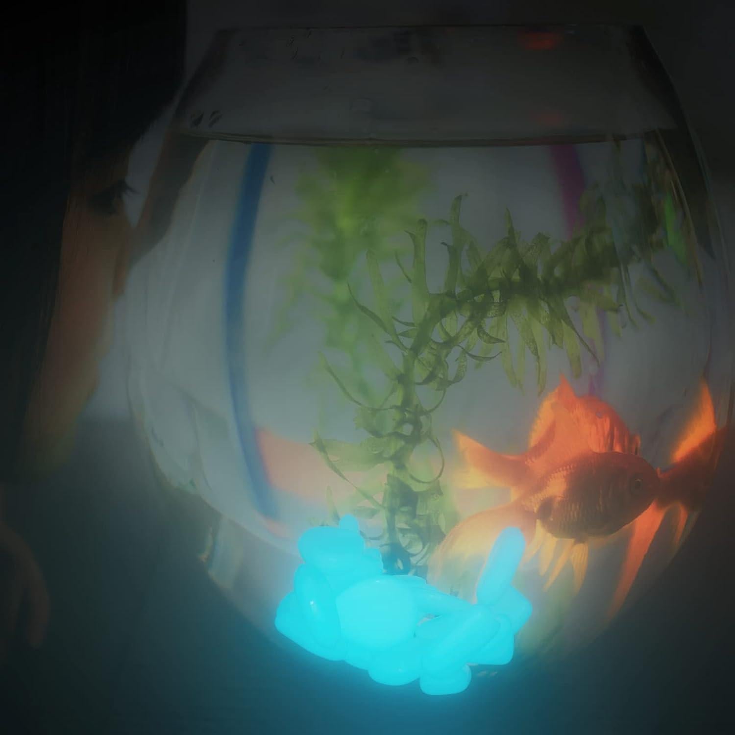 Piedras Luminosas que Brillan en la Oscuridad - Decoración Jardín - 0.2 kg