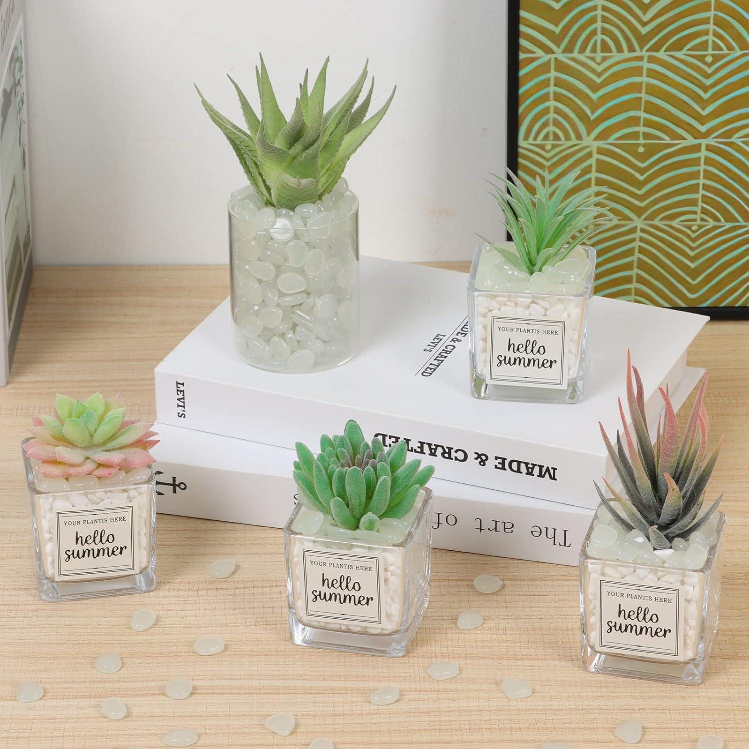 600 Piedras Luminiscentes Decorativas Dinastía Kaiyuan Blancas