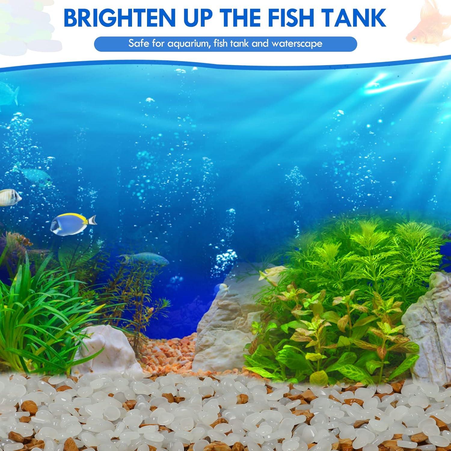 600 Piedras Luminiscentes Decorativas Dinastía Kaiyuan Blancas