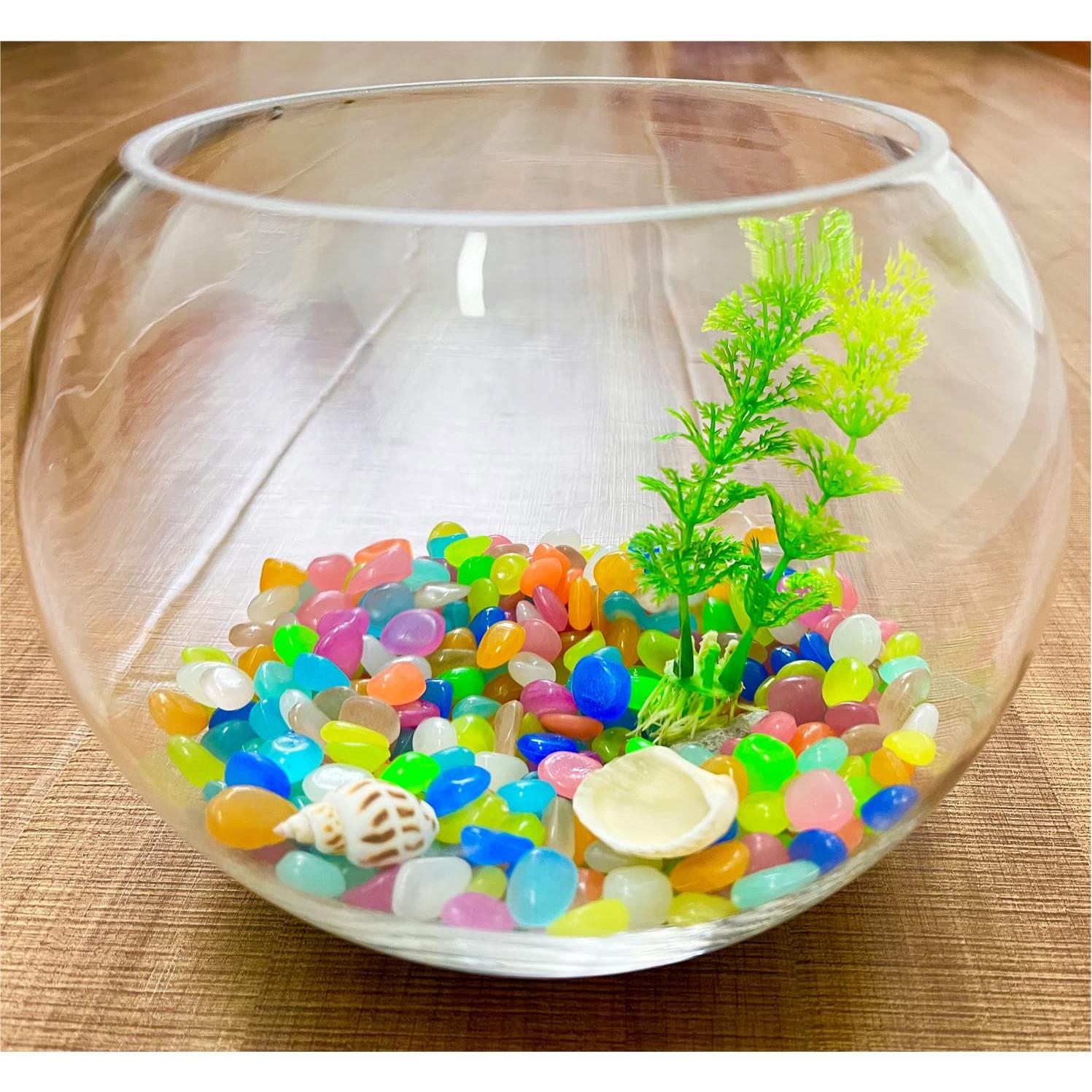 Rocas Brillantes en la Oscuridad Seetooogames - 500 Piezas para Jardín y Acuario