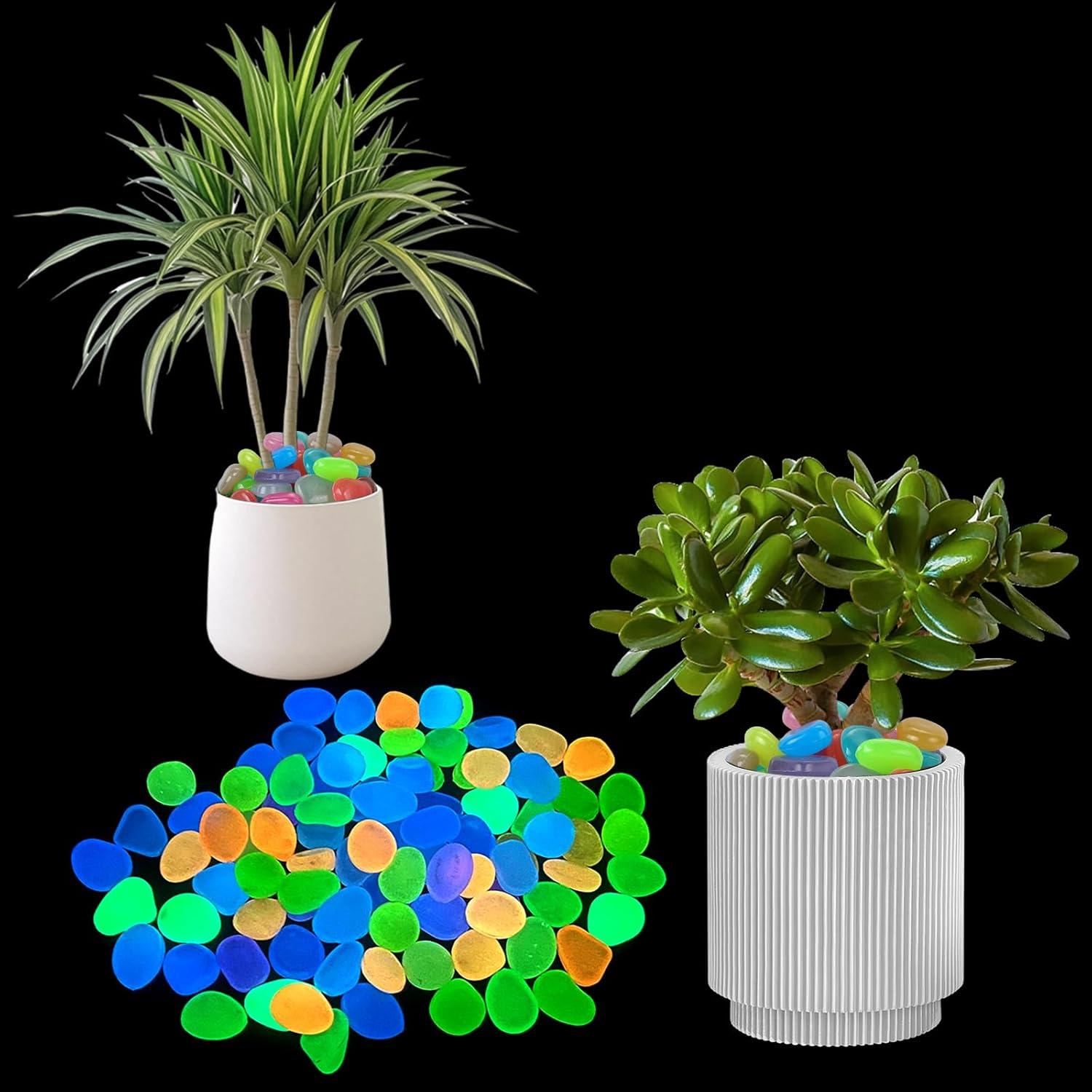 200 Piedras Luminiscentes Brillantes TOSAMZOO para Jardín
