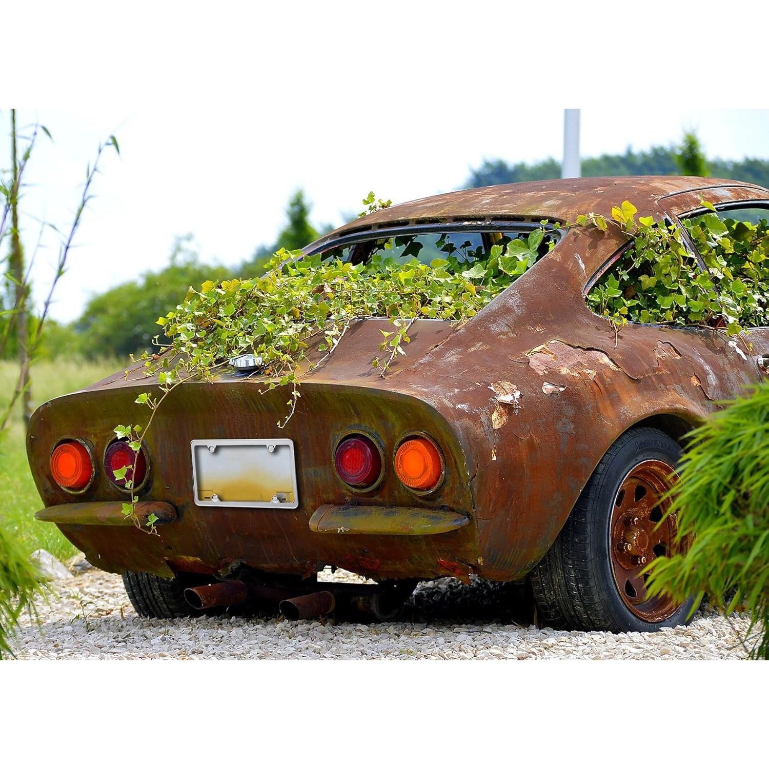 Marcos de Placa de Licencia Indeed BUY Acero Inoxidable 2 Pcs