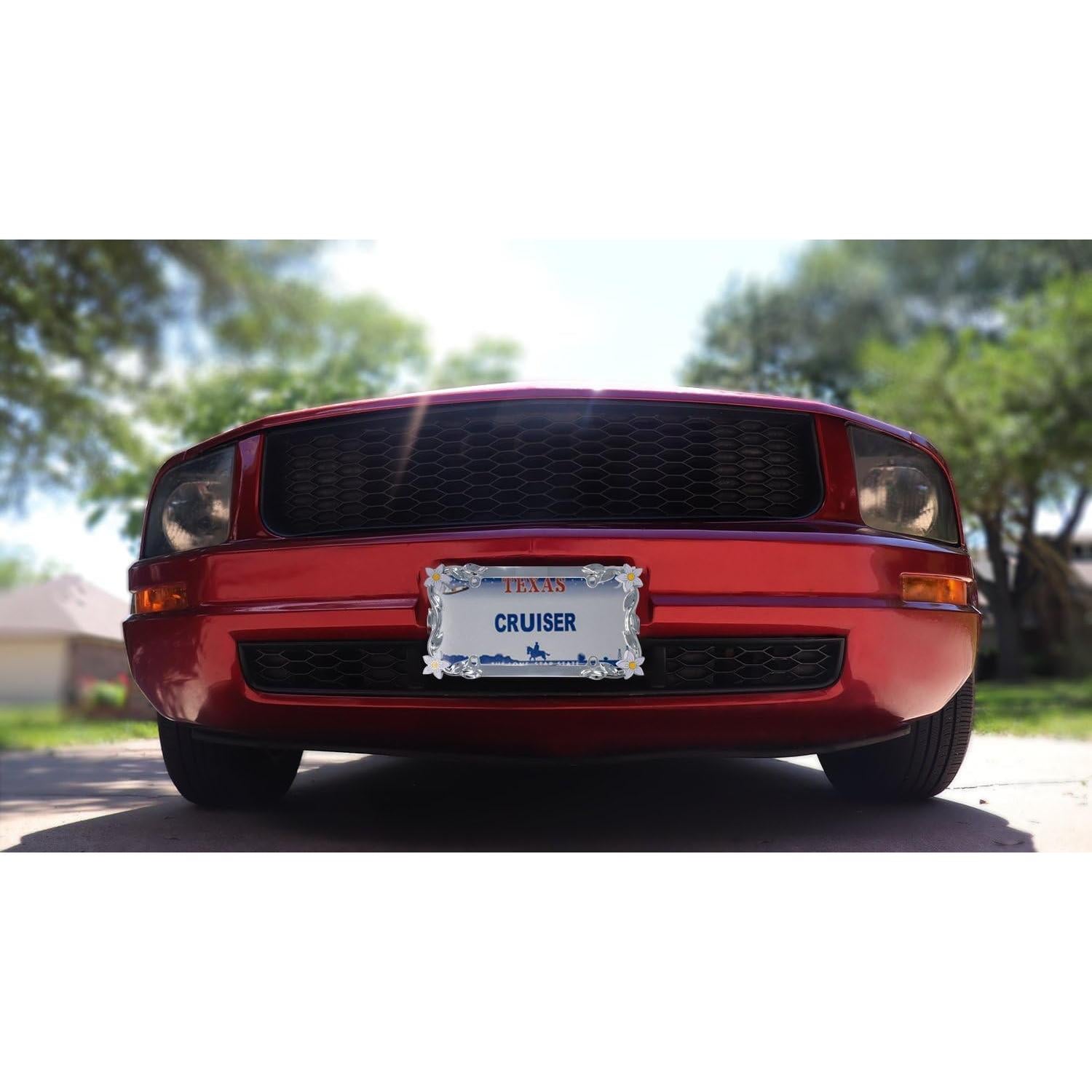 Marco de Placa de Licencia Cruiser Accessories 19130 Margarita