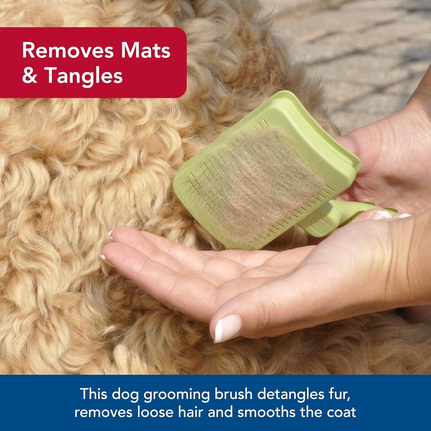 Cepillo Deshechador Autolimpiante Coastal Pet Mediano 5.1x14x26.7cm