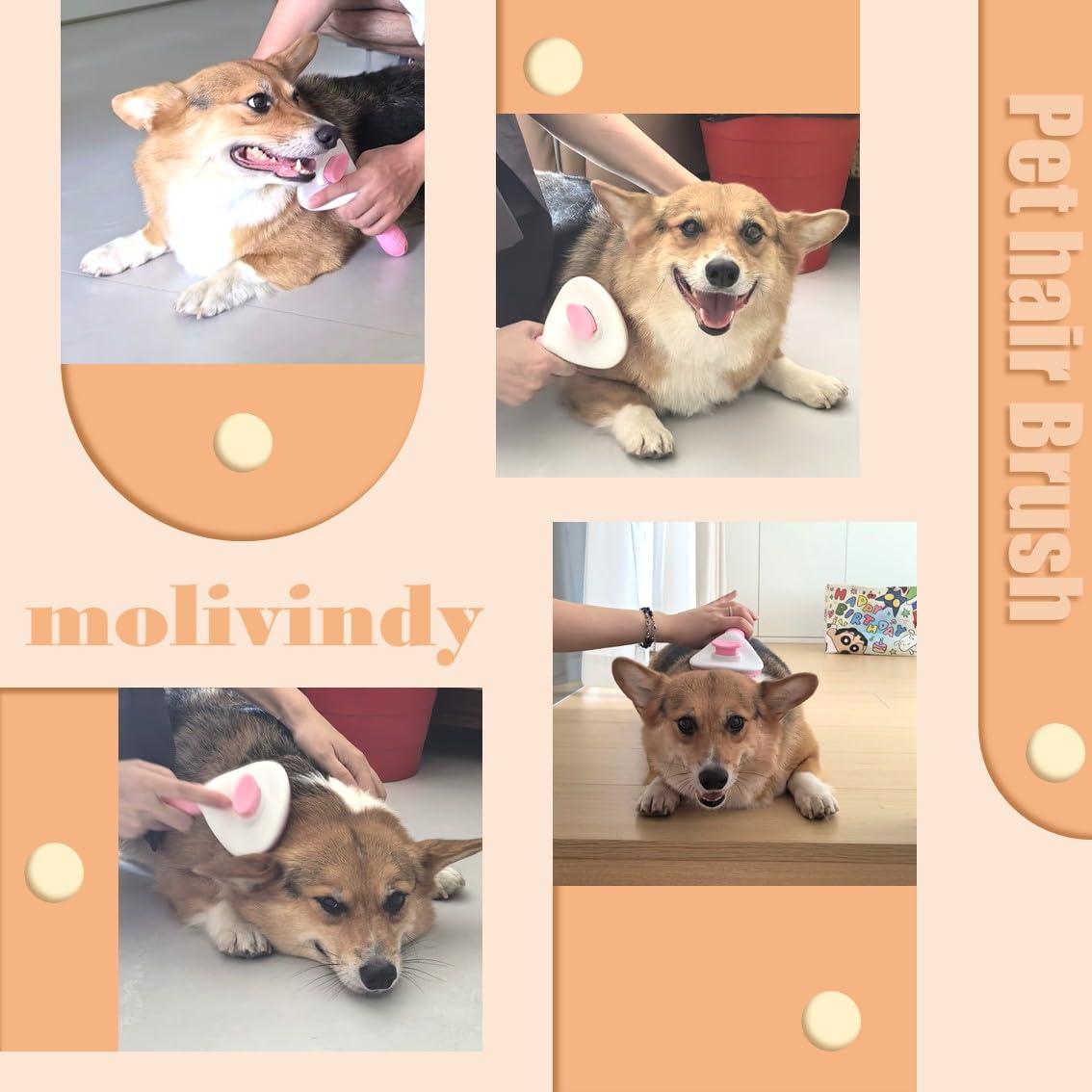 Cepillo Autolimpiante Molivindy para Perros y Gatos - Masaje y Eliminación de Pelo