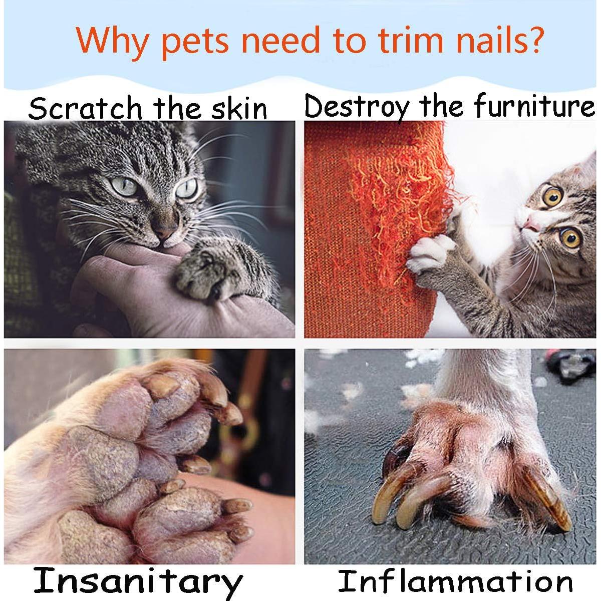 Muela de Uñas Eléctrica Ruri para Perros y Gatos - Ultra Silenciosa