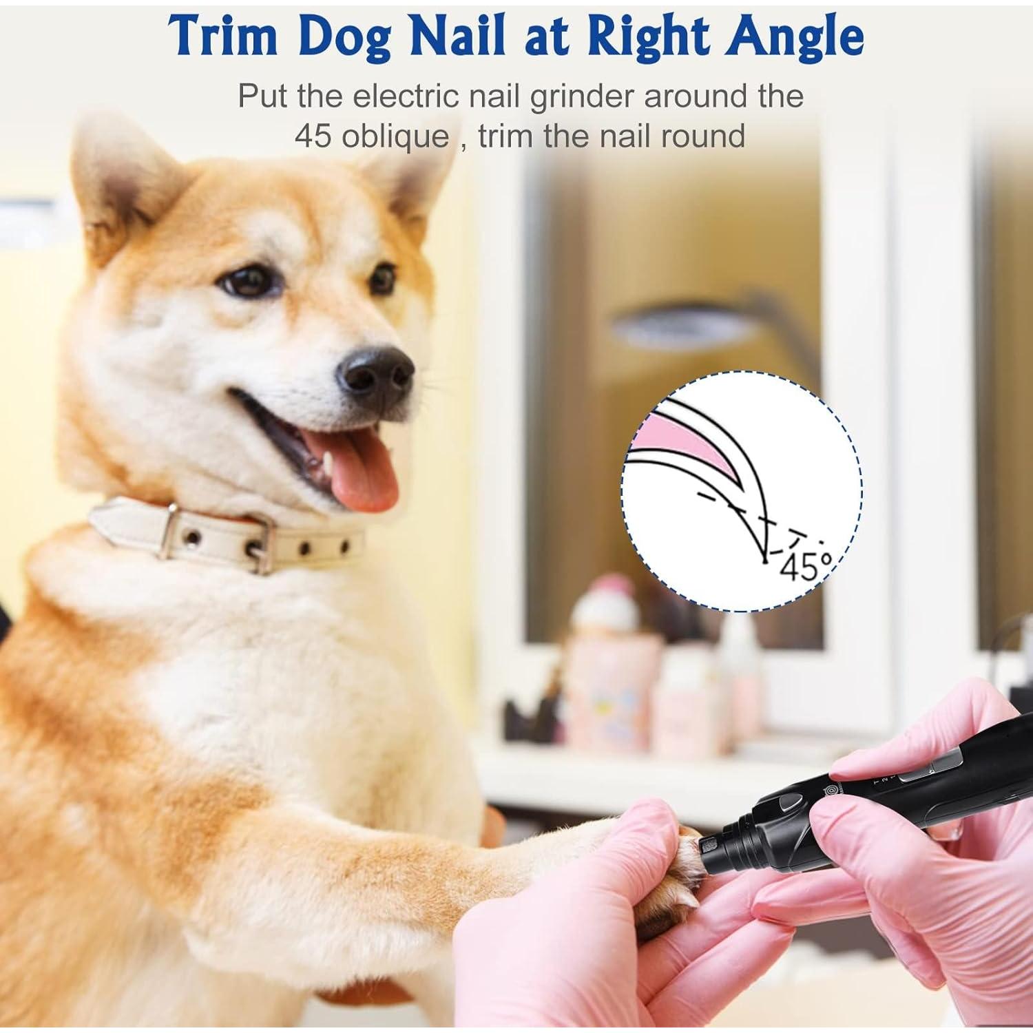 Muela de Uñas para Perros Petsaunter 2-en-1 con Luz LED