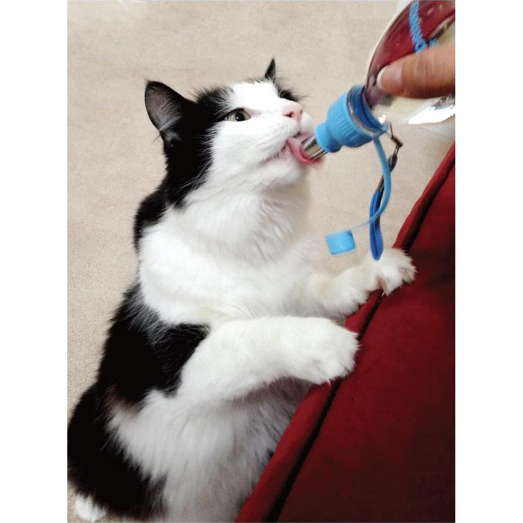 Comedero de Agua Portátil Choco Nose H258 Azul 240ml