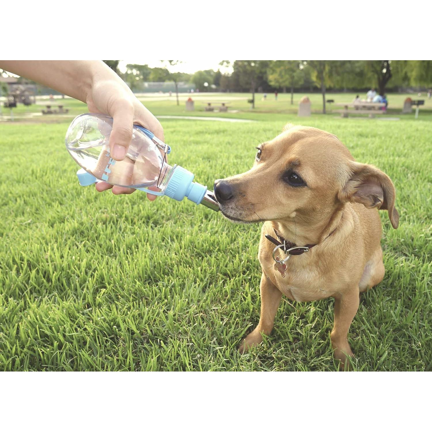 Comedero de Agua Portátil Choco Nose H258 Azul 240ml