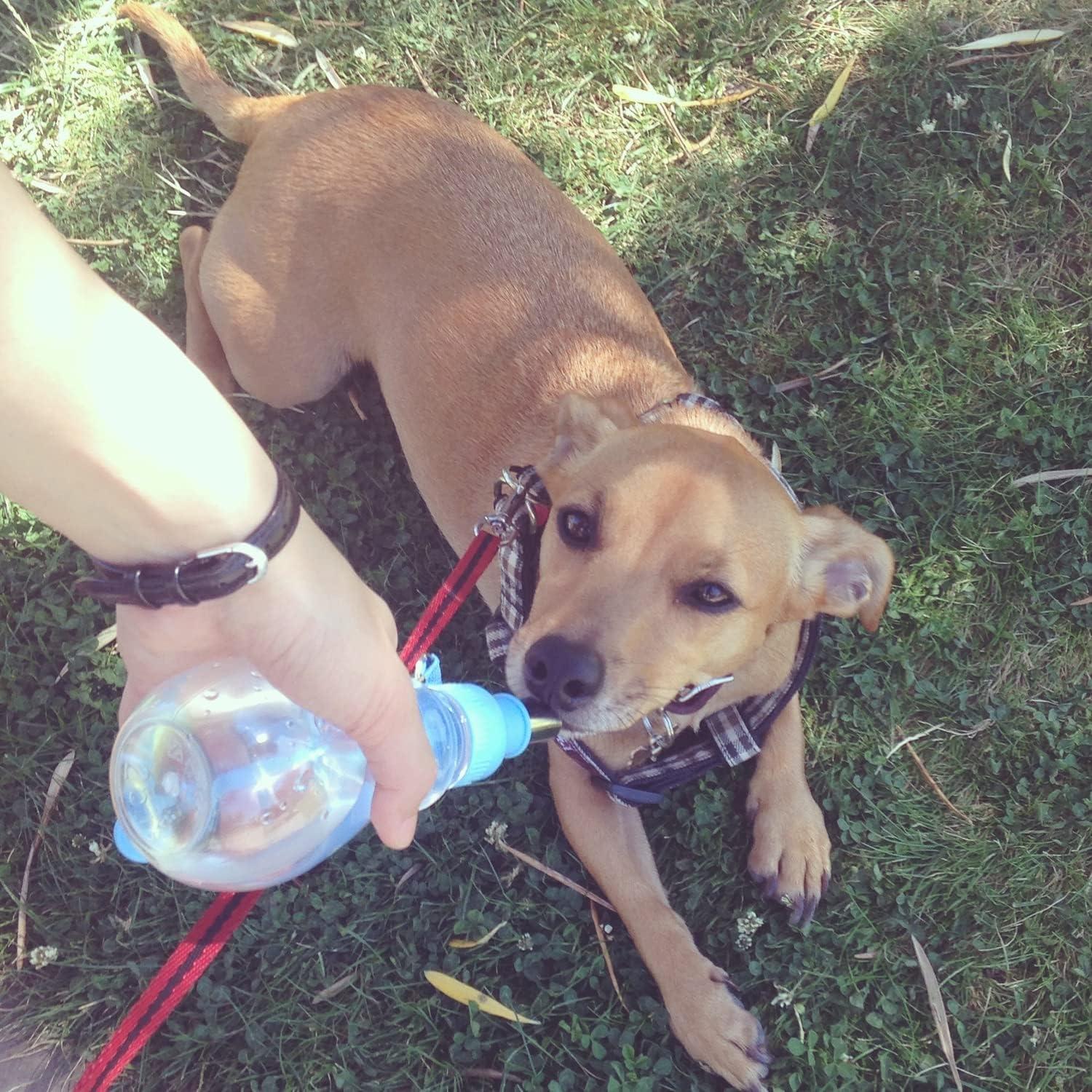 Comedero de Agua Portátil Choco Nose H258 Azul 240ml