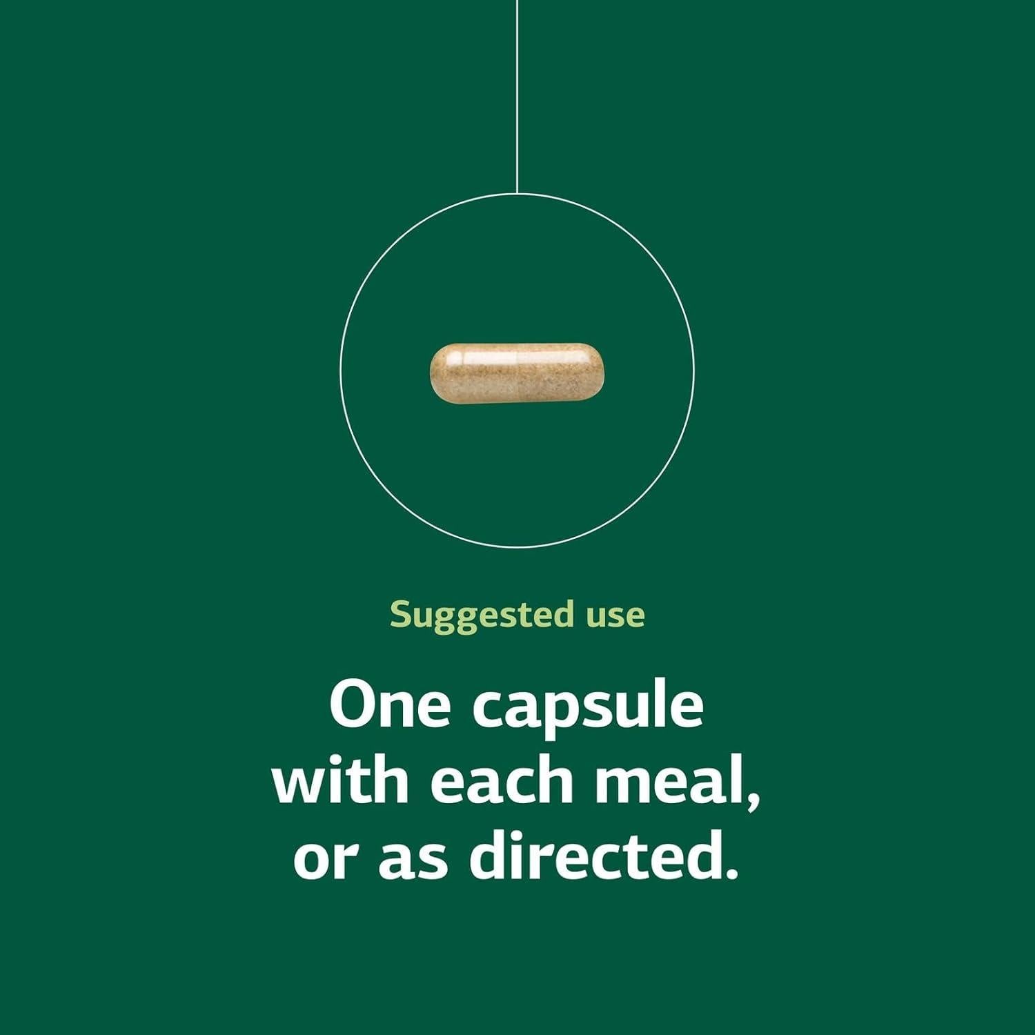 Suplemento Energético Integral Standard Process - 90 Cápsulas