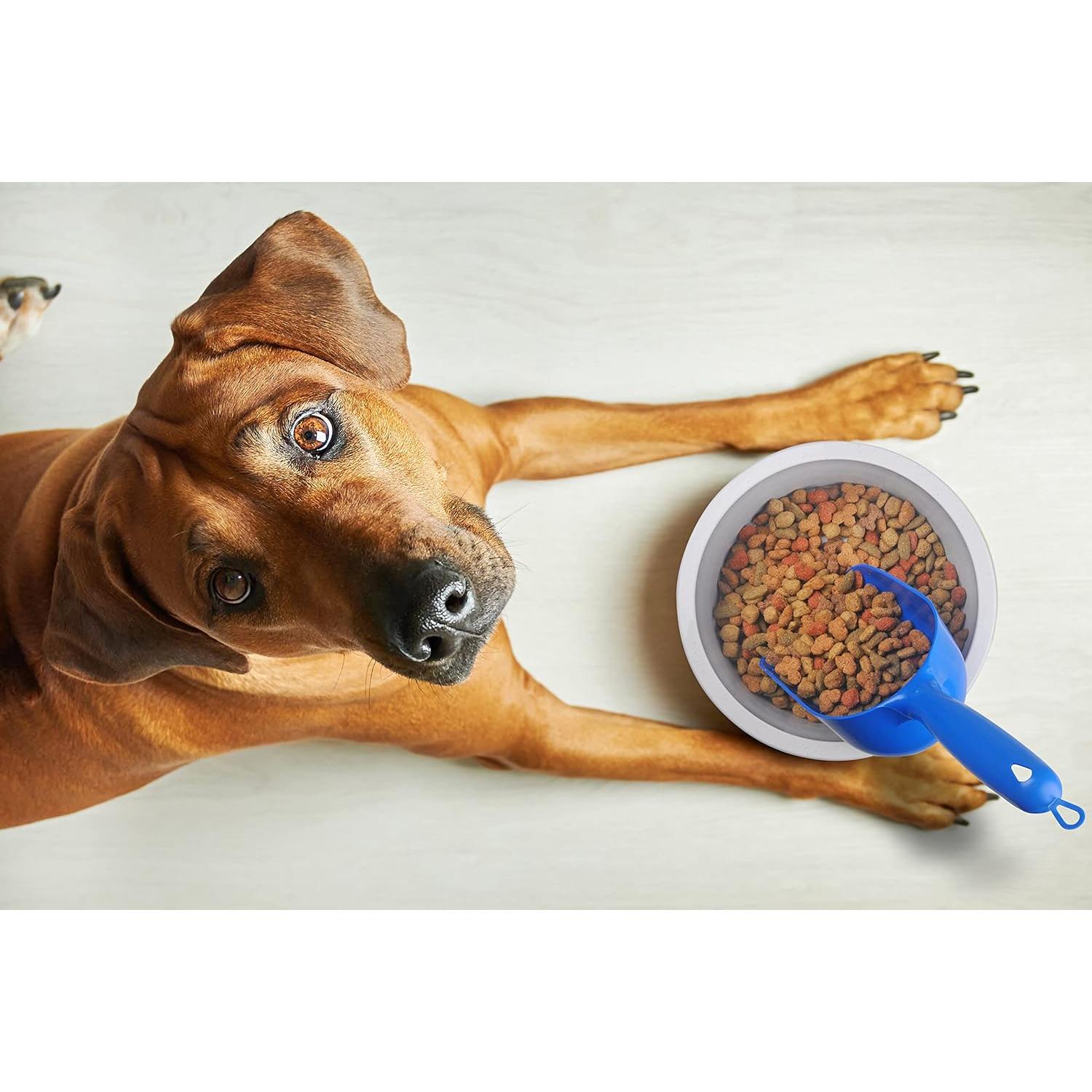 Cucharón para comida de mascotas Van Ness 2 tazas azul