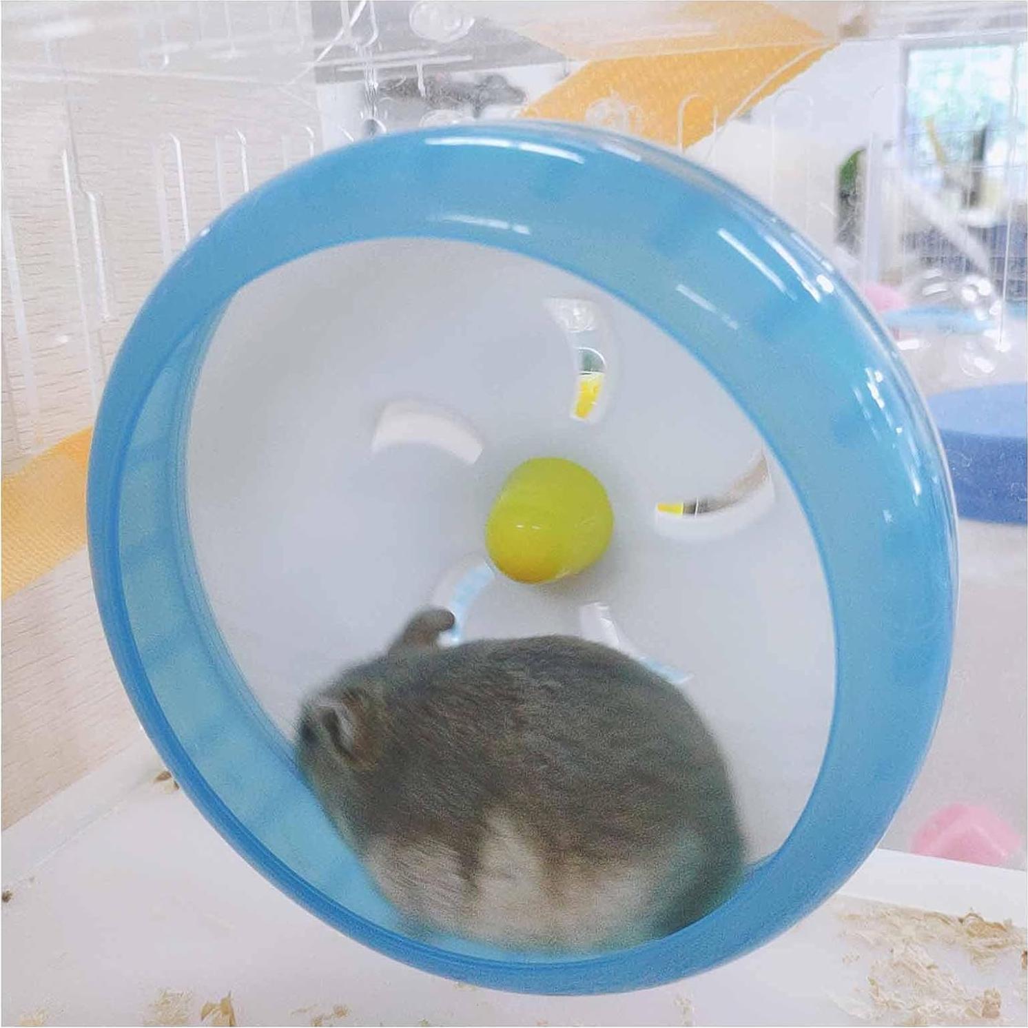 Rueda de Correr Silenciosa WishLotus para Hámster Azul