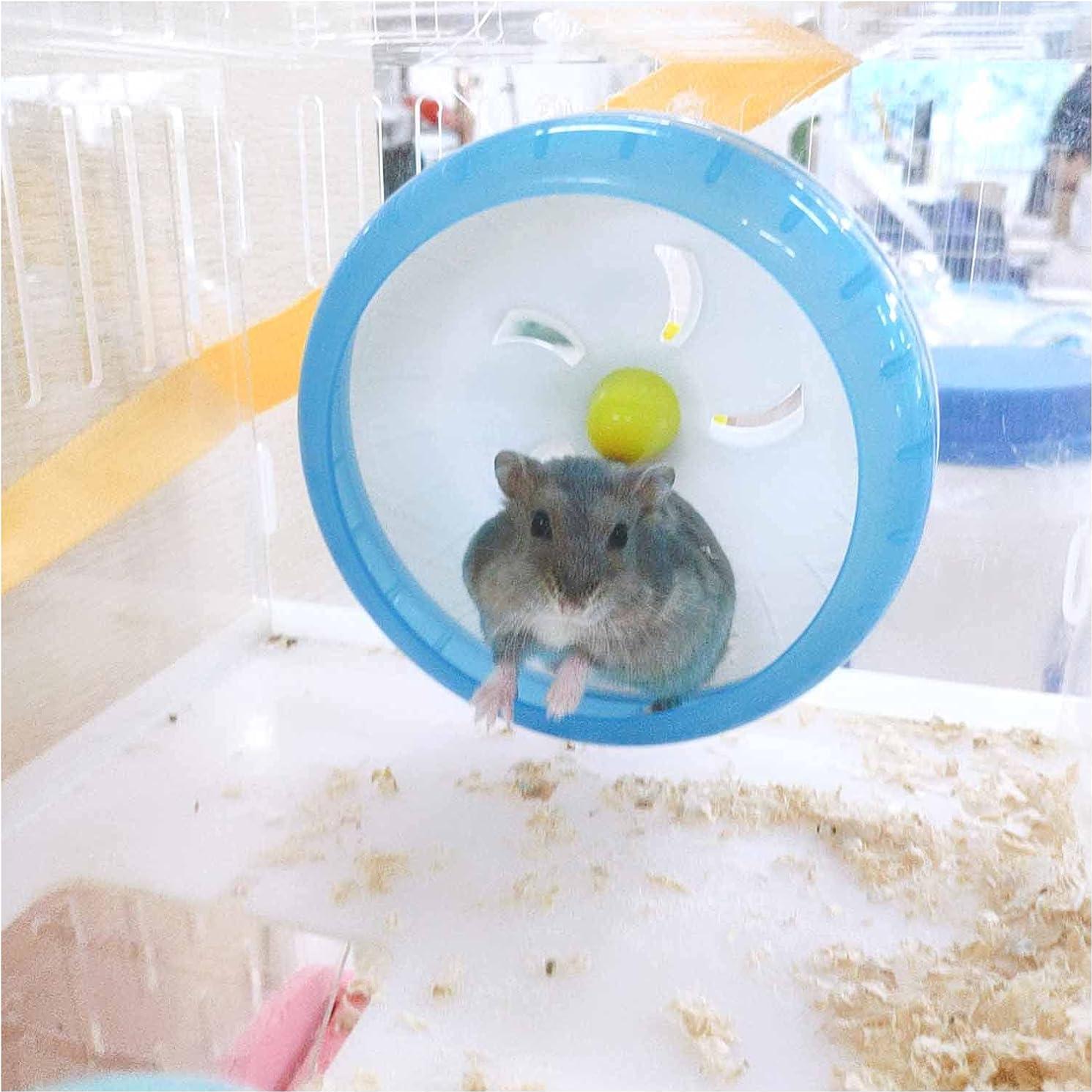 Rueda de Correr Silenciosa WishLotus para Hámster Azul