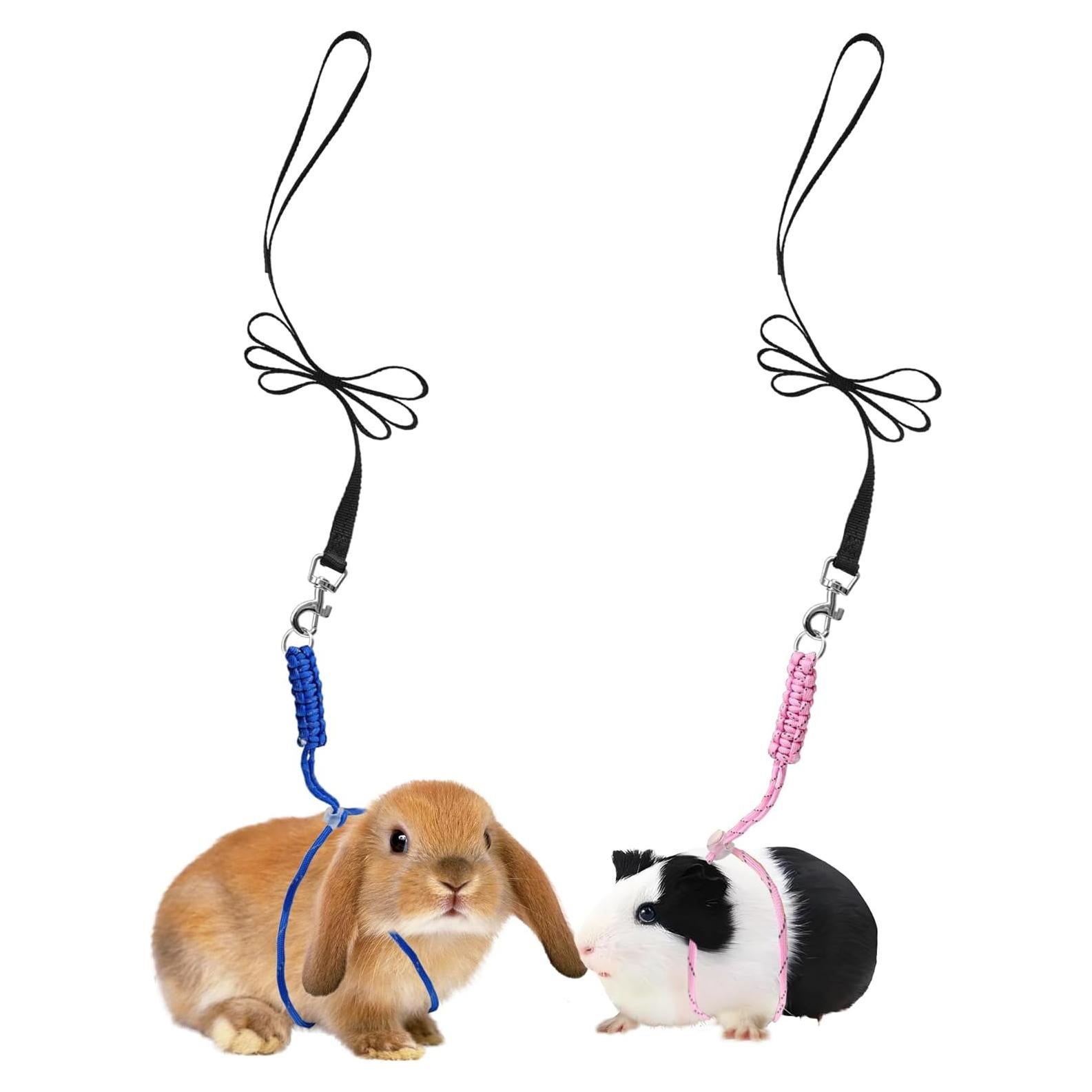 Arnés y Correa Ajustable GOMICRAFT para Animales Pequeños