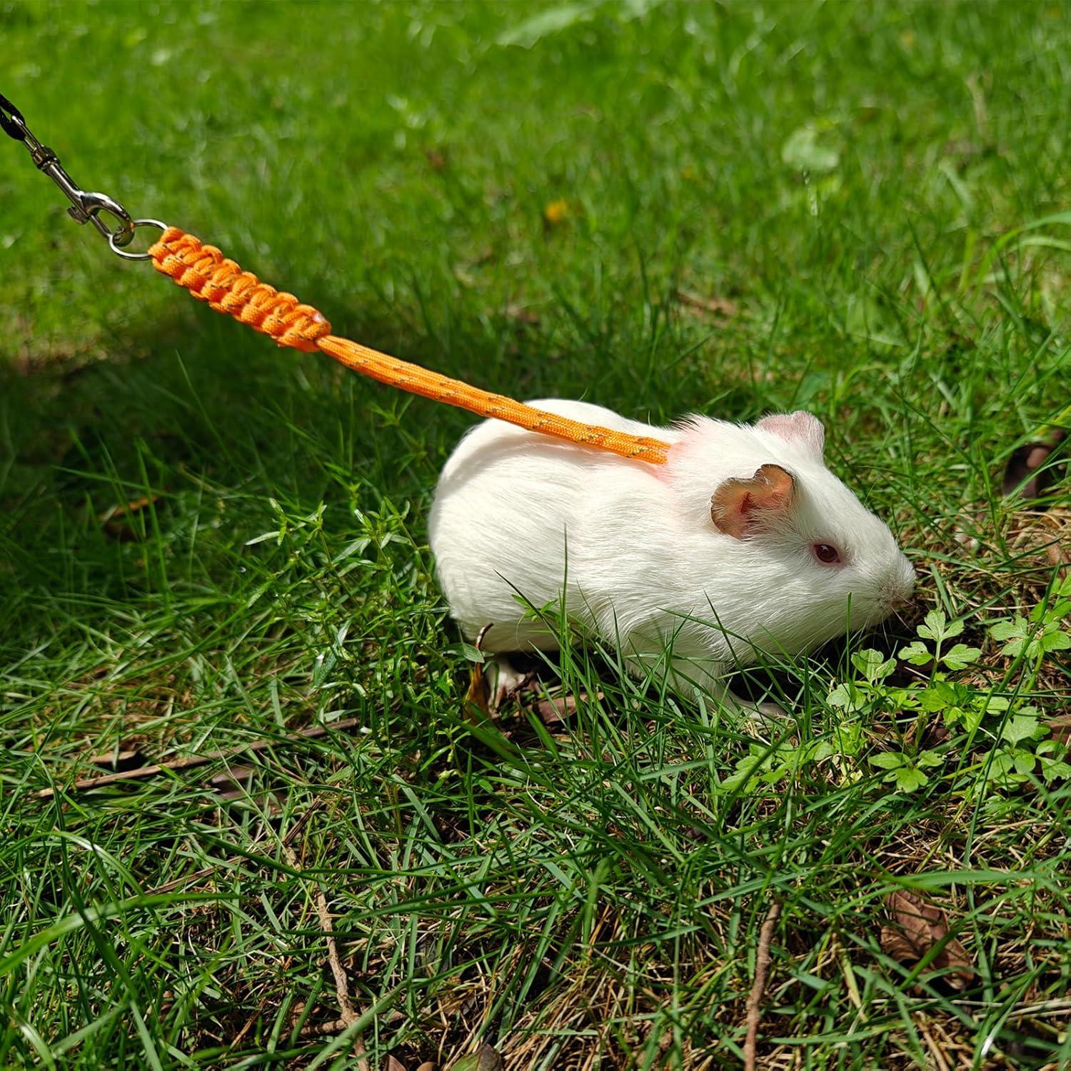 Arnés y Correa Ajustable GOMICRAFT para Animales Pequeños