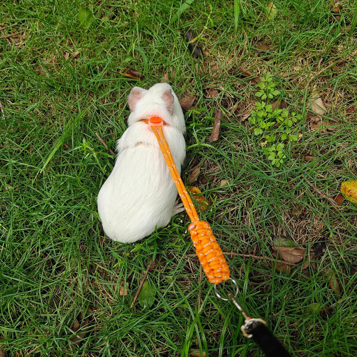 Arnés y Correa Ajustable GOMICRAFT para Animales Pequeños