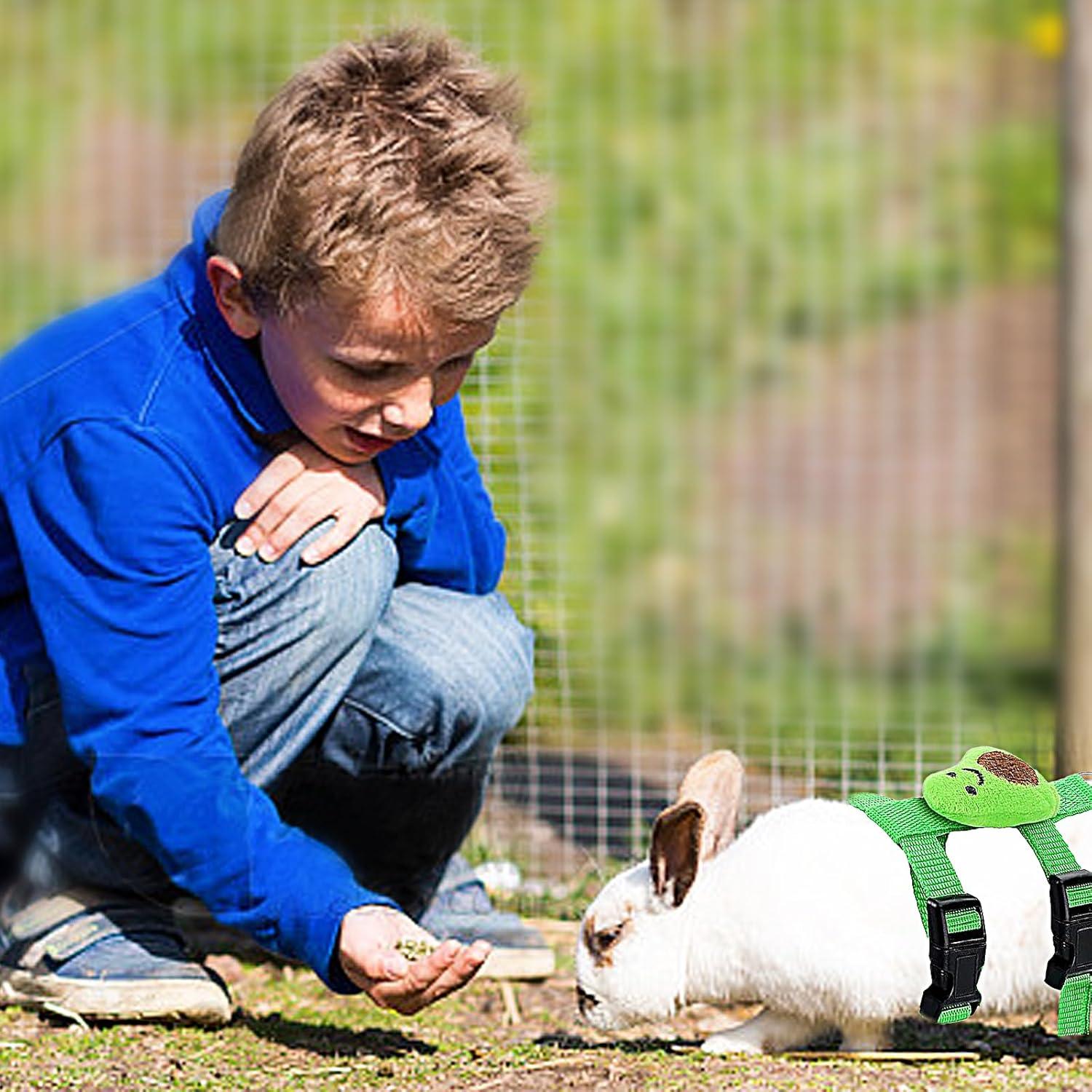 4 Conjuntos de Arnés y Correa Ajustable ZYU5 para Conejos