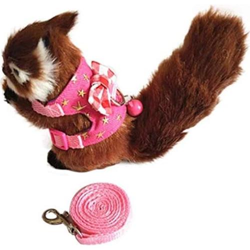 Arnés y correa ajustable para mascotas pequeñas Litewood - Estrella Rosa