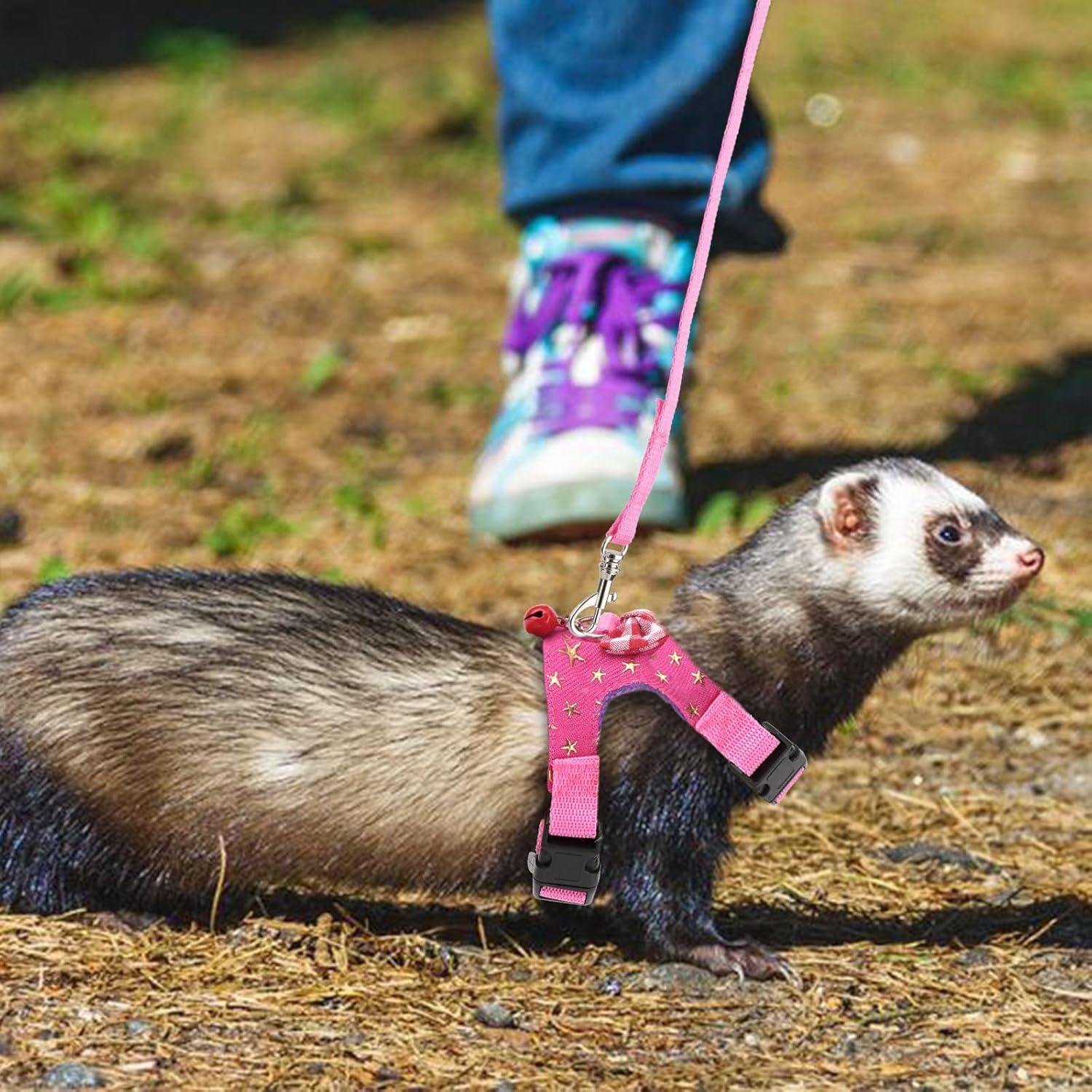 Conjunto Arnés y Correa para Mascotas Pequeñas Wontee S Estrella Rosa