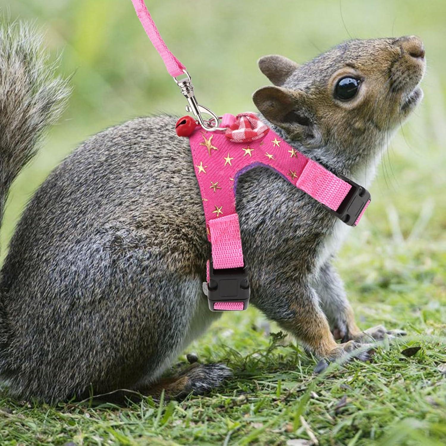 Conjunto Arnés y Correa para Mascotas Pequeñas Wontee S Estrella Rosa